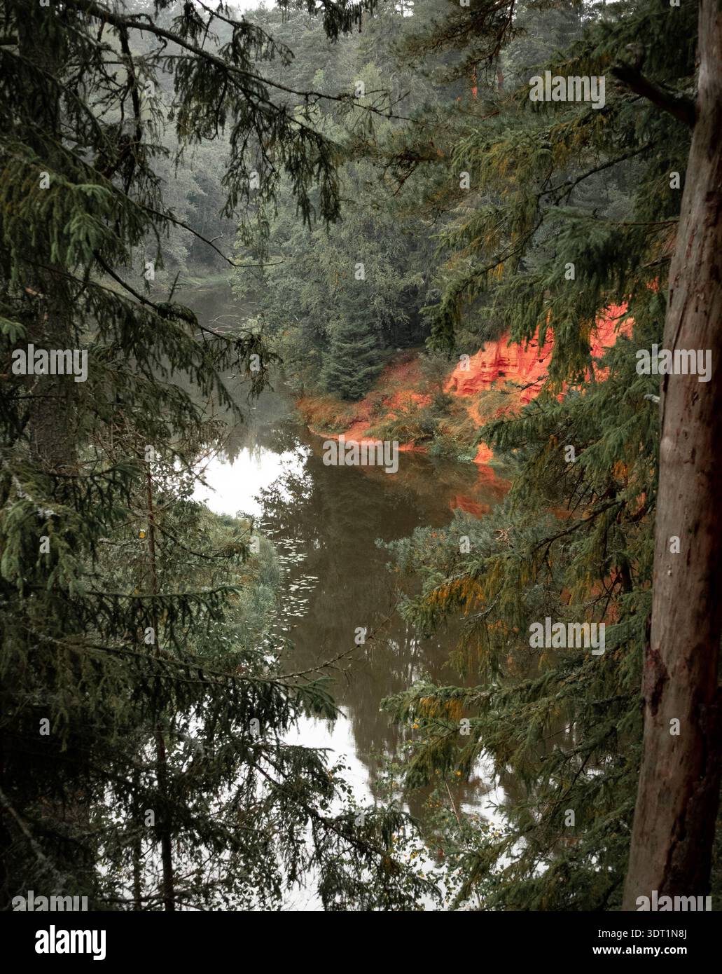 Riflessioni autunnali sulle foreste del fiume Salaca in Lettonia Foto Stock