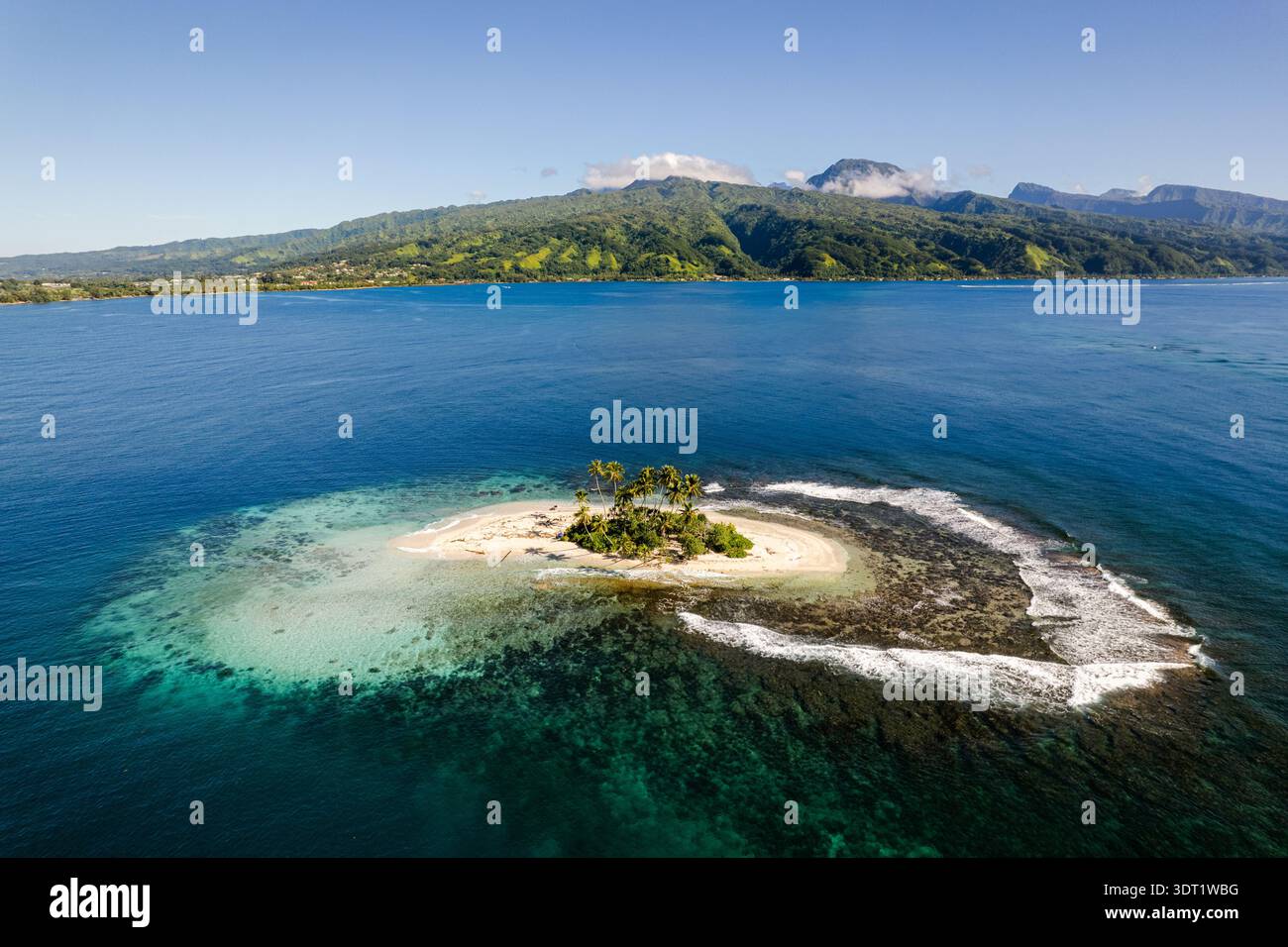 Scopri una vista aerea mozzafiato di una piccola e lussureggiante isola tropicale circondata da acque turchesi nella Polinesia francese. Scopri la bellezza incontaminata Foto Stock