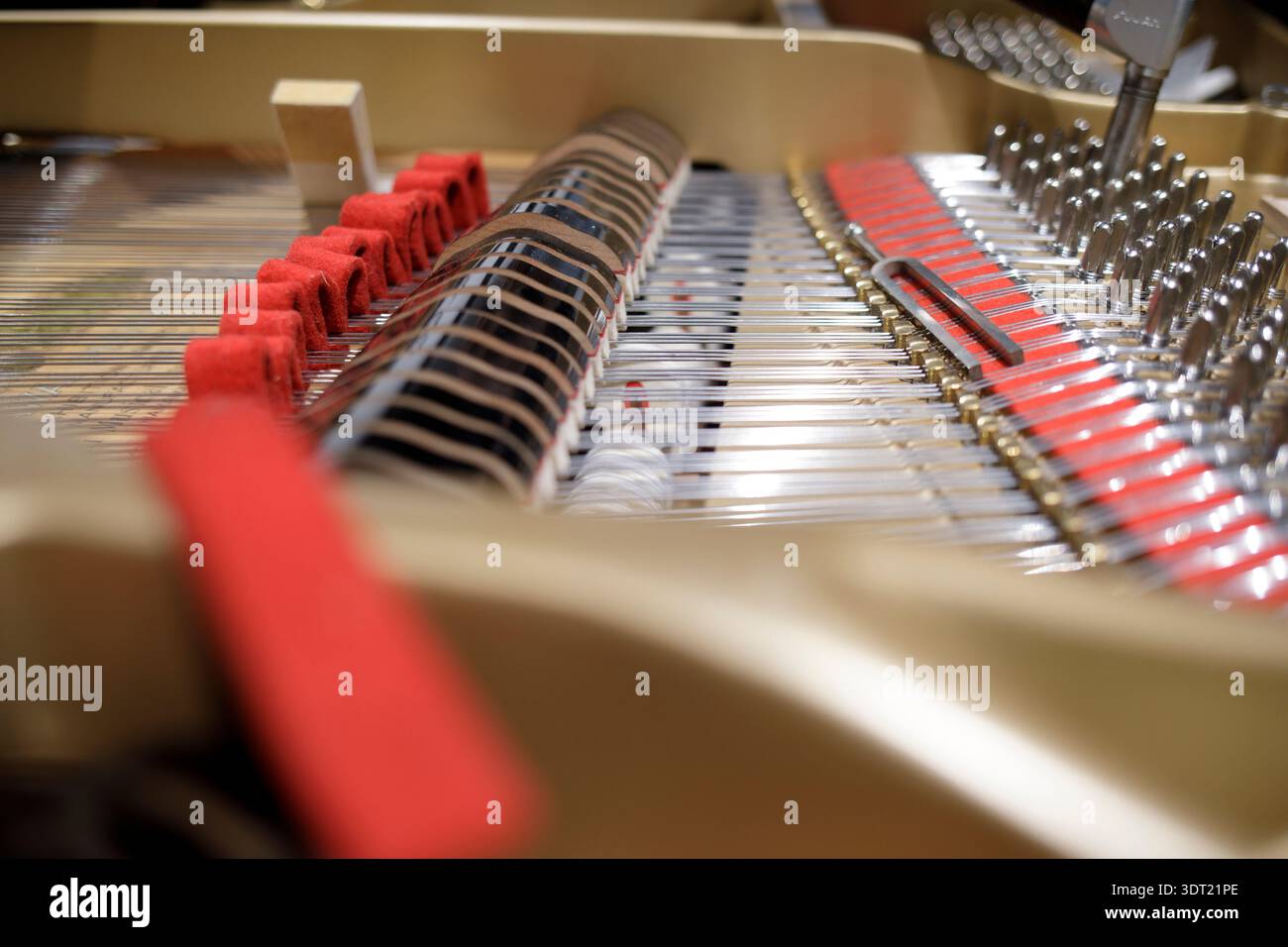 Primo piano di archi per pianoforte a coda e sintonia Foto Stock