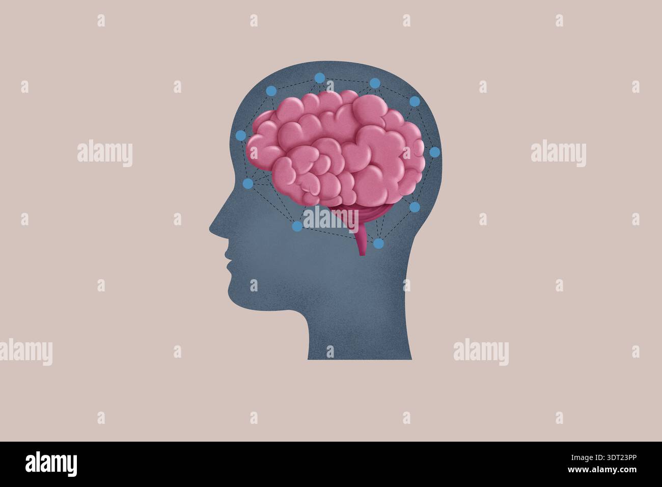 Illustrazione digitale che mostra un cervello rosa all'interno di una silhouette della testa umana. Questa illustrazione medica enfatizza le connessioni neurali in una S concettuale Foto Stock