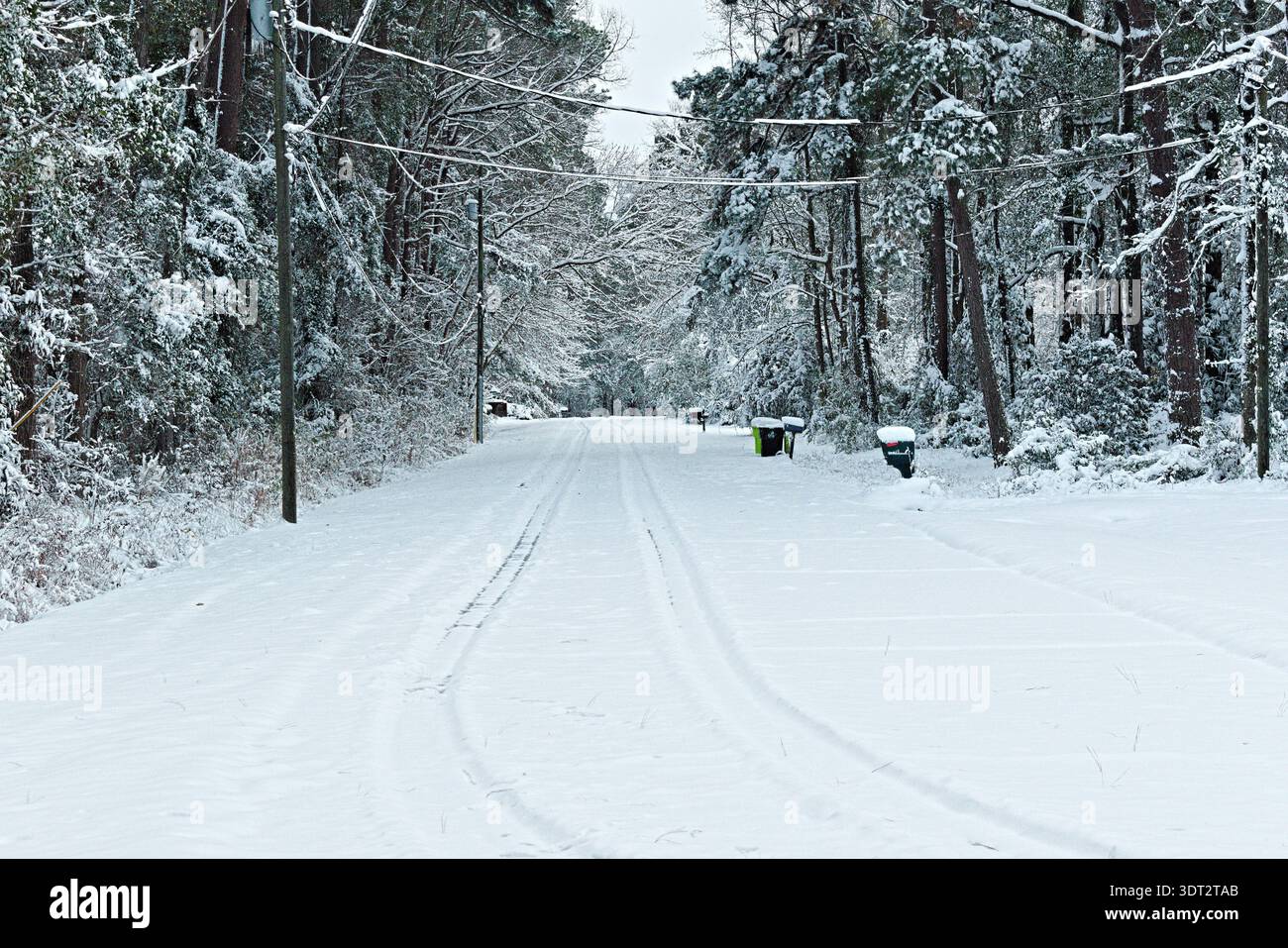 Una tranquilla strada suburbana ricoperta di neve fresca, costeggiata da alberi carichi di neve e piste di pneumatici visibili che portano in lontananza. Foto Stock