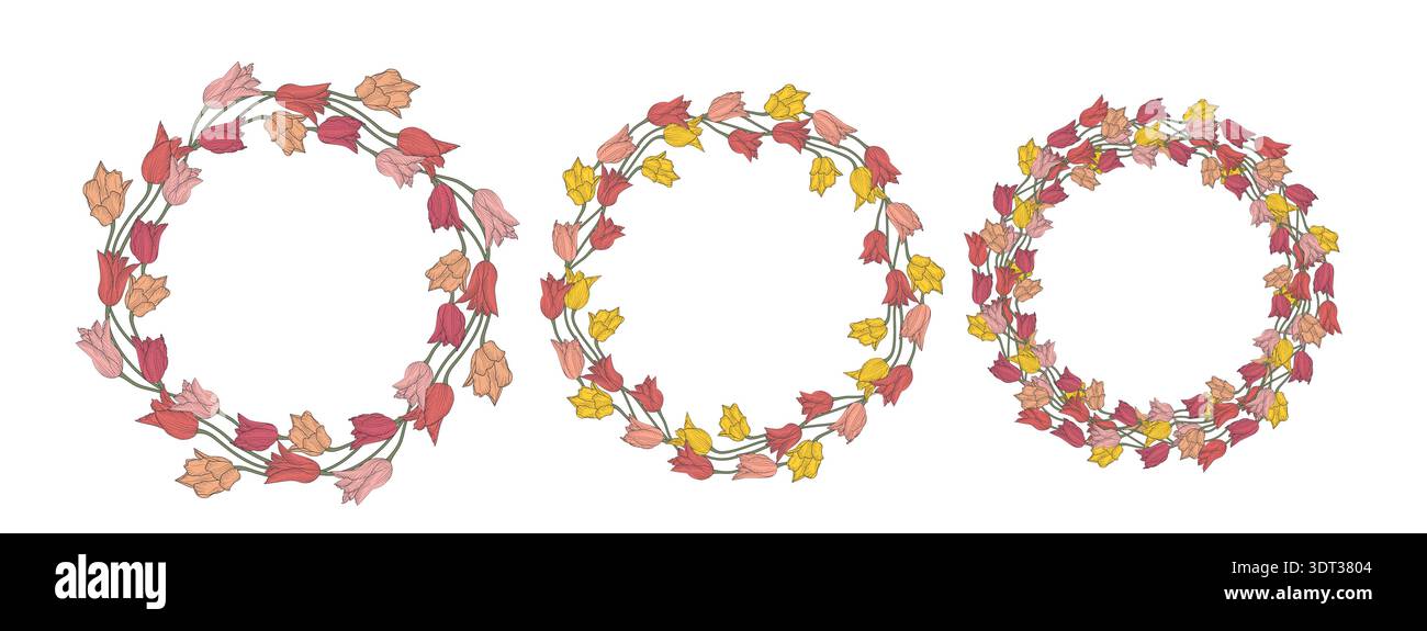 Rosa e giallo disegnati a mano tulipani fiori corona di fiori isolati su sfondo bianco Illustrazione Vettoriale