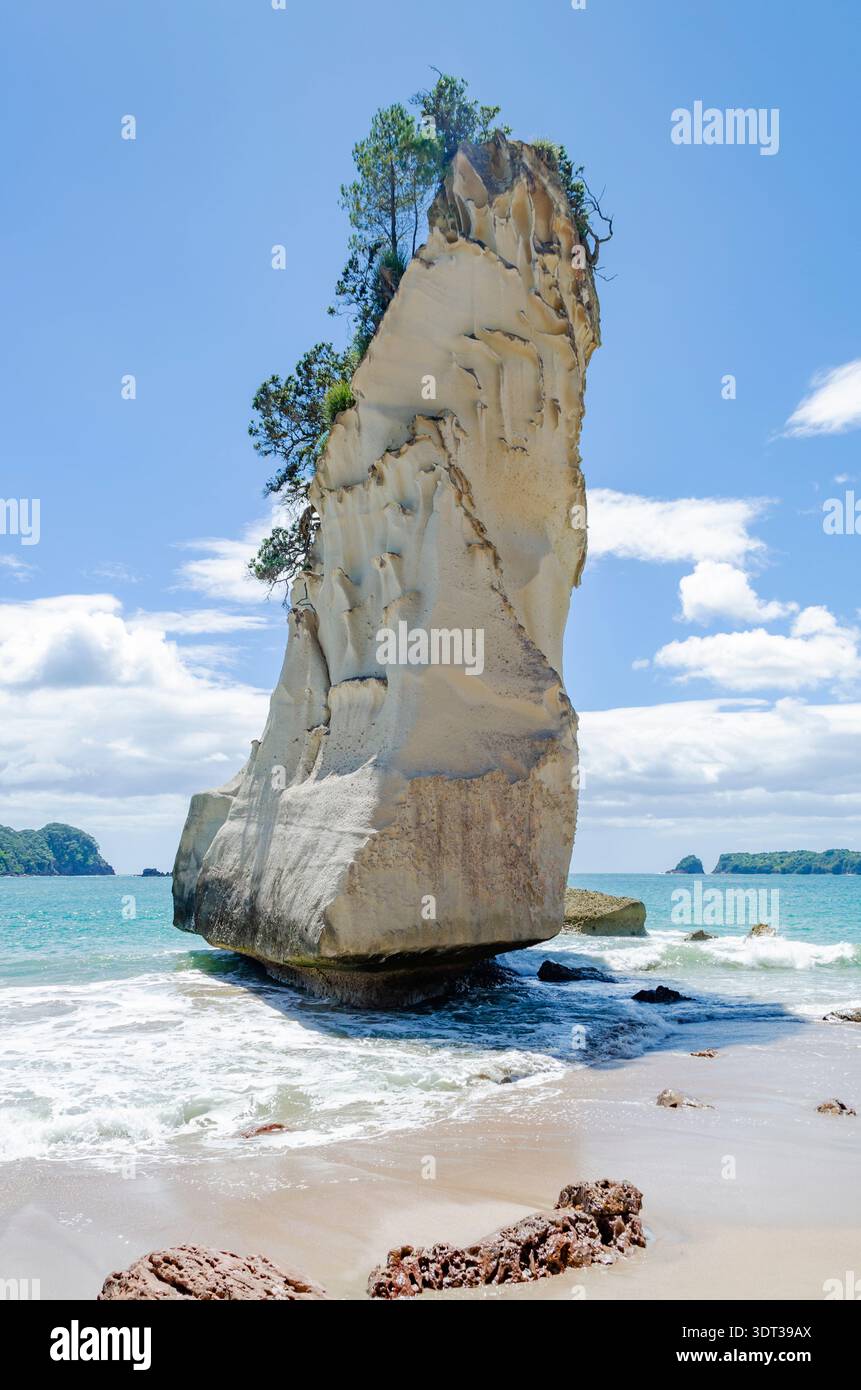 Cathedral Cove è conosciuta per le sue splendide formazioni rocciose naturali, tra cui la famosa te HOHO Rock. Questo punto di riferimento presenta un alto calcare bianco Foto Stock