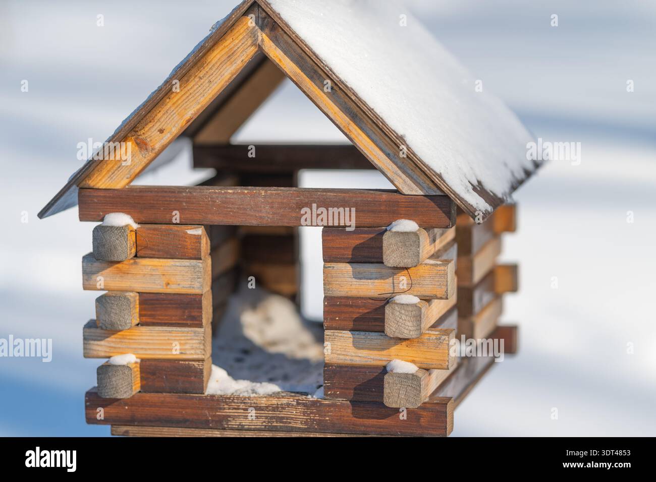 Il tetto e l'ingresso della birdhouse sono coperti da una trama dettagliata di tronchi, cristalli di neve su tegole, fuoco nitido, falegnameria artigianale visibile, natura intima Foto Stock