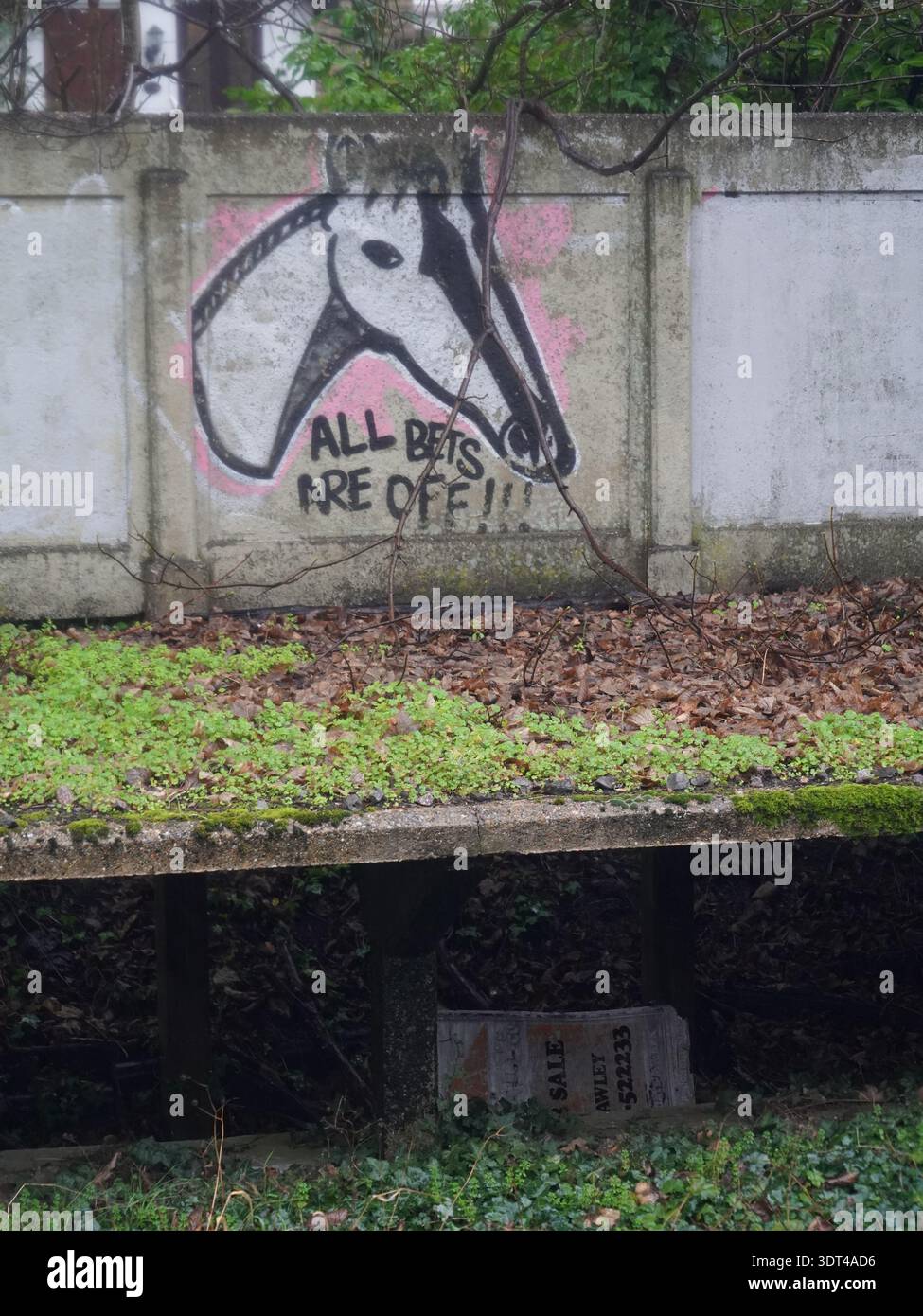 Stazione ferroviaria DI BELMONT. Graffiti sulla piattaforma in disuso Foto Stock