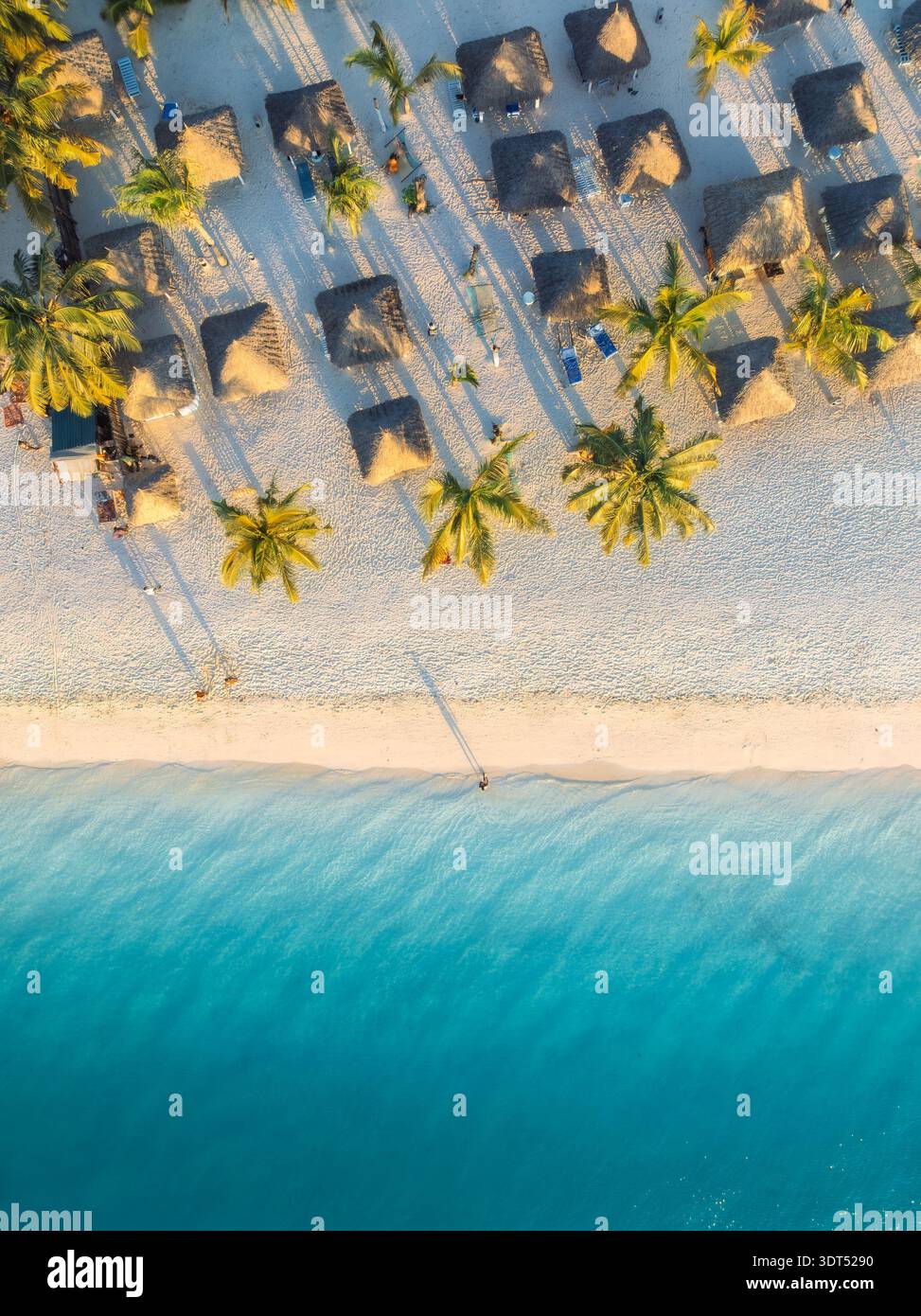 Vista aerea di palme, ombrelloni sulla spiaggia di sabbia vuota, mare blu Foto Stock
