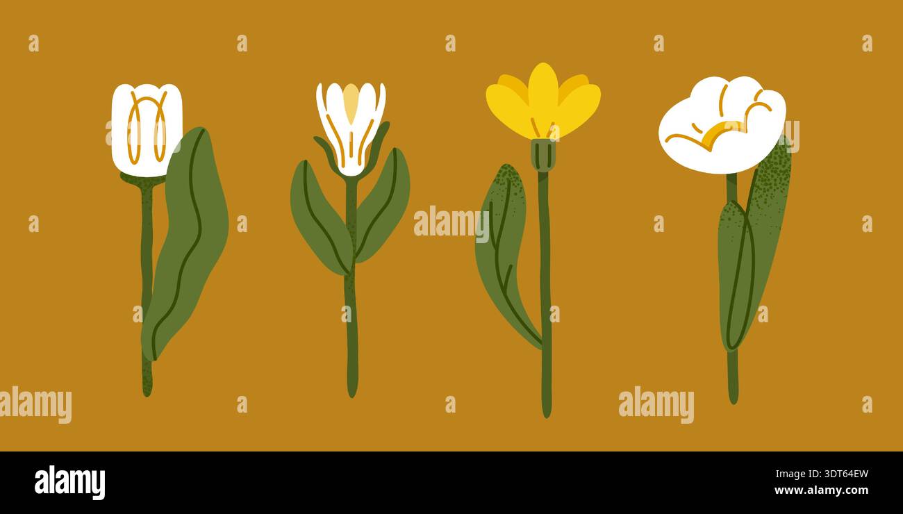 Set di quattro fiori stilizzati in stile grafico piatto. Il caldo sfondo di senape con fiori bianchi e gialli crea un moderno aspetto botanico popolare. Pulire S Illustrazione Vettoriale