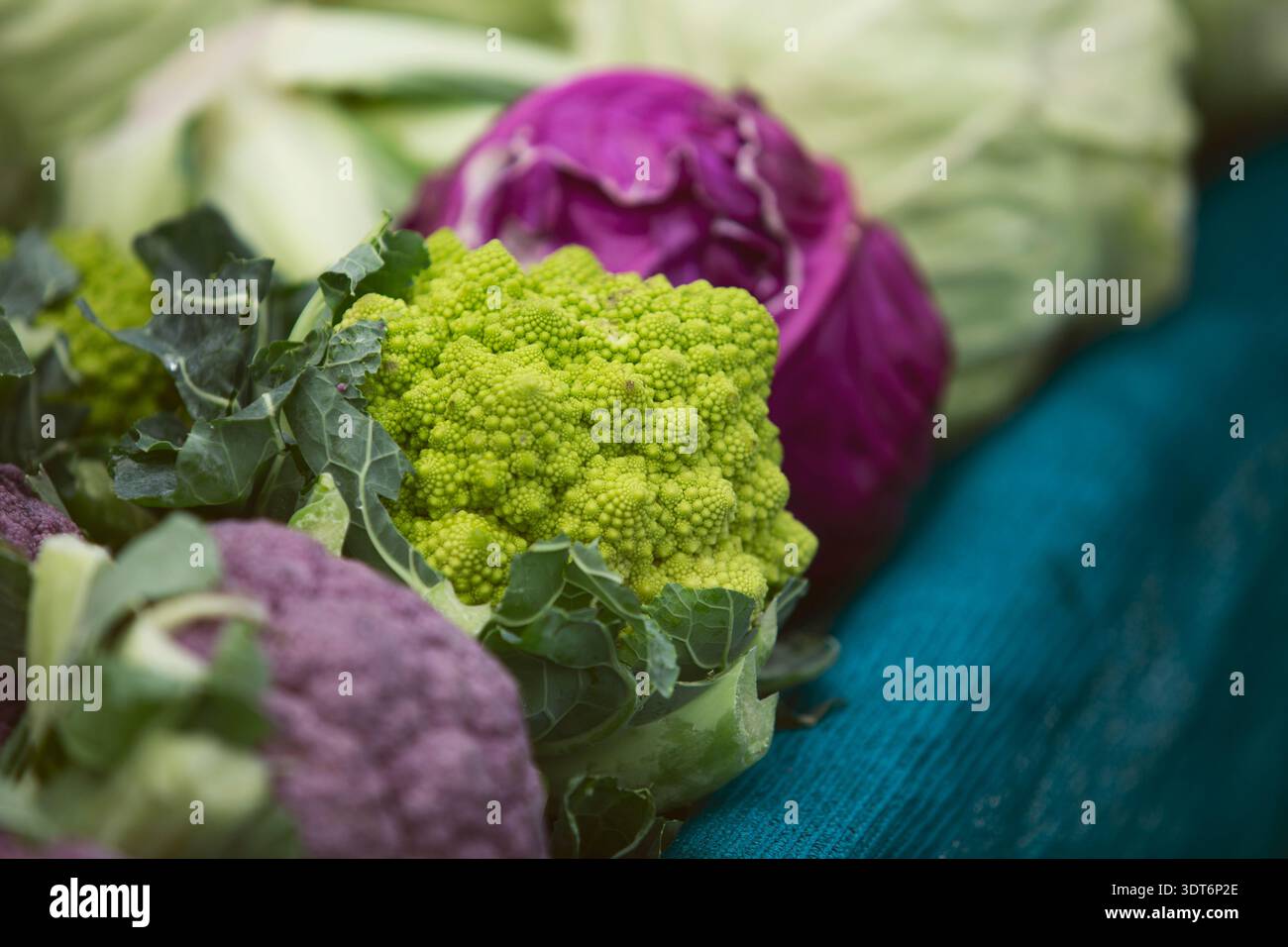 Una vista dei broccoli Romanesco, visti in un mercato agricolo locale. Foto Stock