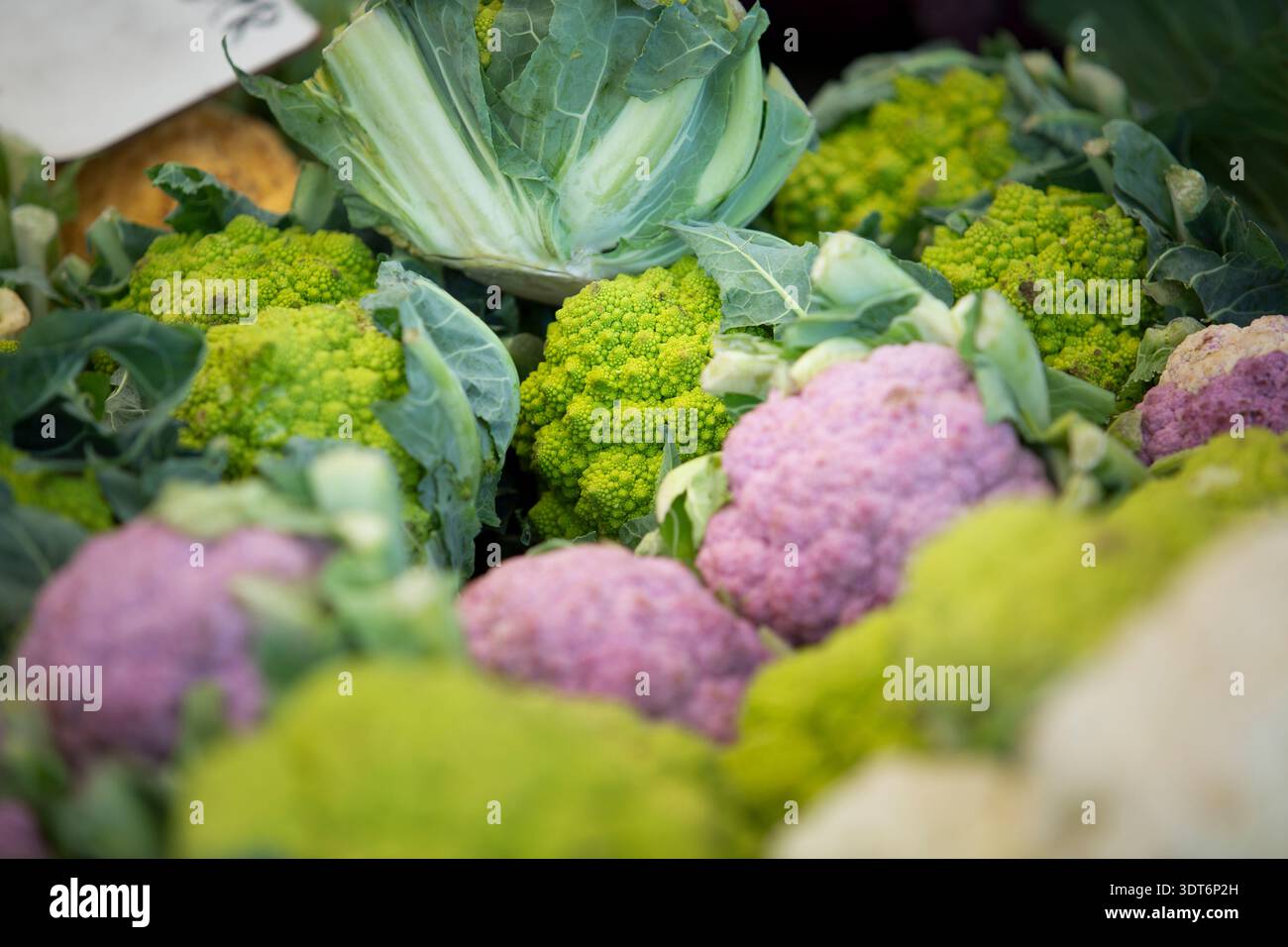 Una vista dei broccoli Romanesco, visti in un mercato agricolo locale. Foto Stock