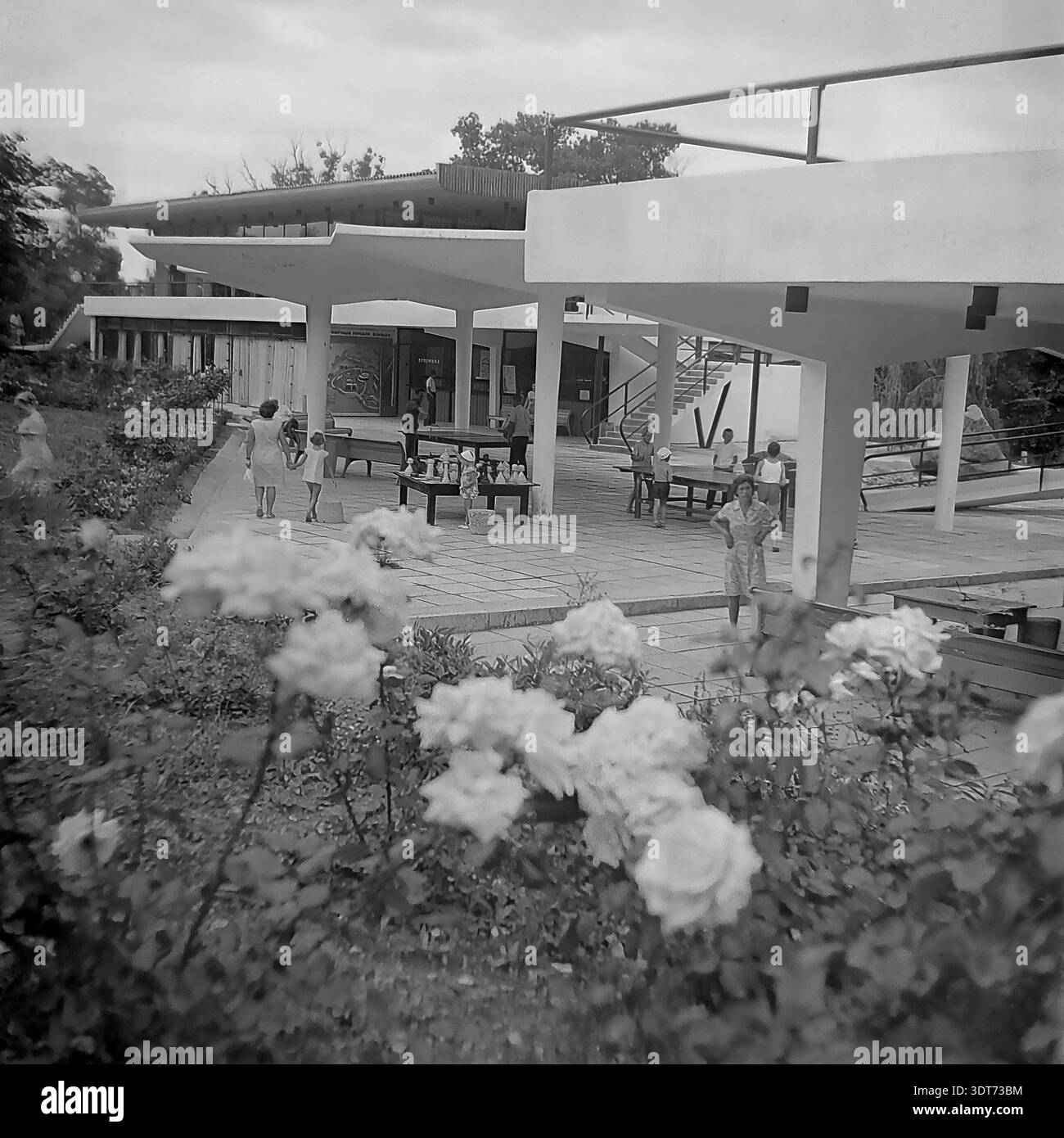 Una storica fotografia d'archivio in bianco e nero degli anni '1960 che cattura un tranquillo pomeriggio presso il famoso campo dei pionieri di All-Union Artek a Gurzuf, in Crimea. In primo piano, splendide rose fioriscono in un giardino. La scena mostra un'area per il tempo libero all'aperto con padiglioni modernisti dove bambini e adulti possono praticare attività estive. Alcune persone giocano a ping-pong mentre altre si riuniscono intorno a un grande scacchiera messo su un tavolo. Questa suggestiva immagine conserva splendidamente il ricordo visivo di un'infanzia felice, l'architettura del resort e la vita prima della guerra in URSS. Foto Stock