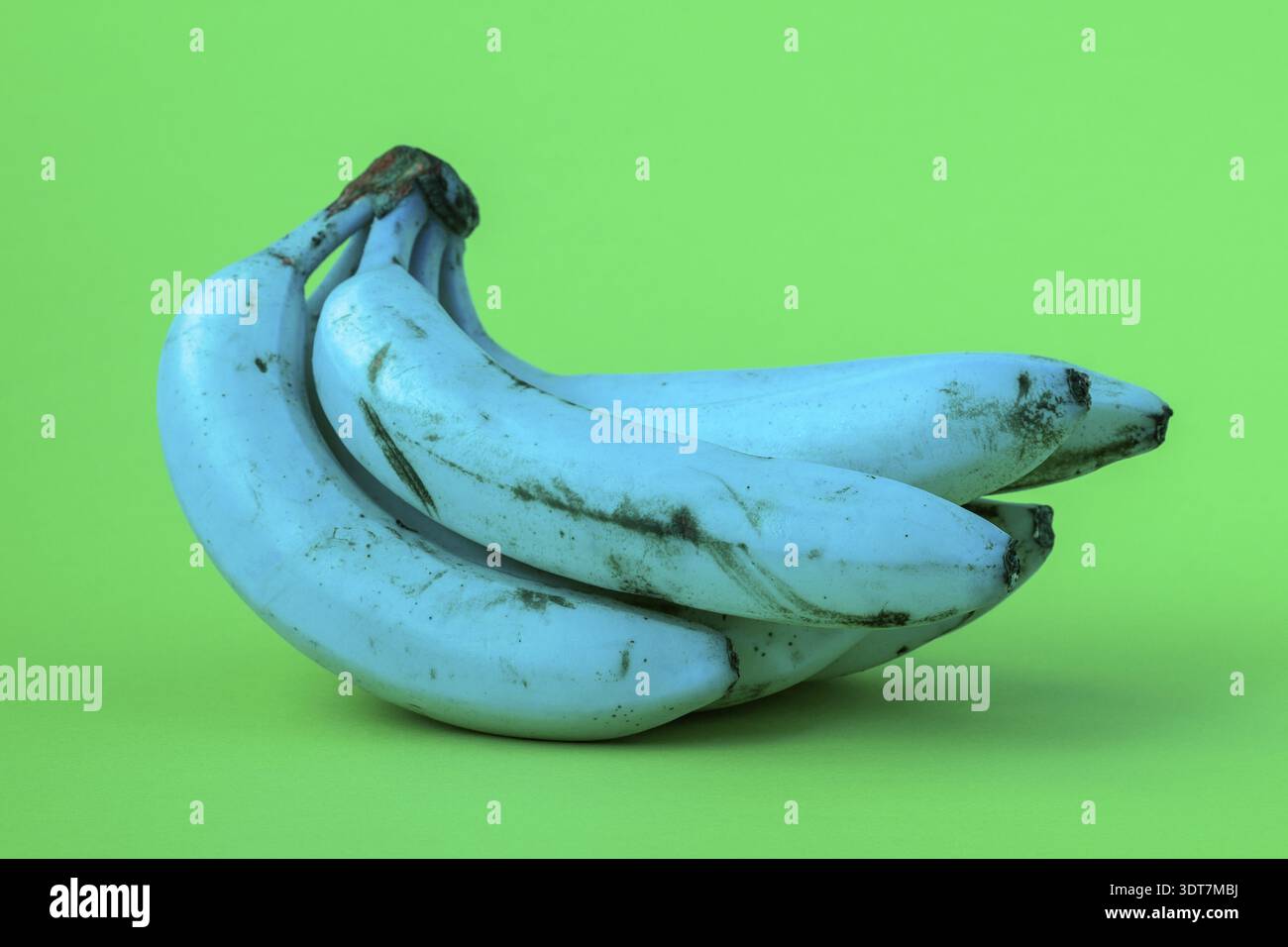 Alimenti geneticamente modificati, concetto OGM. Banane blu su sfondo verde Foto Stock
