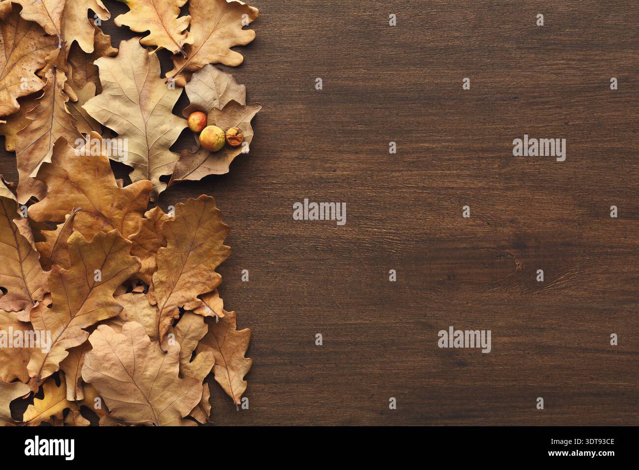 Raccolta di foglie secche e corna disposte su fondo in legno con layout semplice Foto Stock
