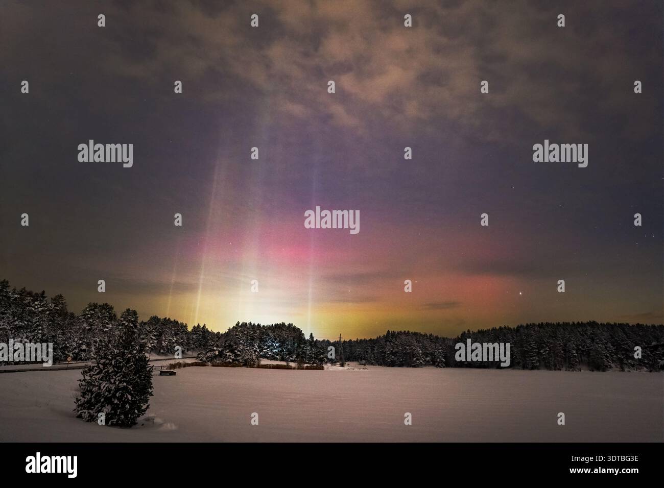 Aurora boreale (aurora boreale) combinata con pilastri luminosi su un paesaggio invernale innevato Foto Stock