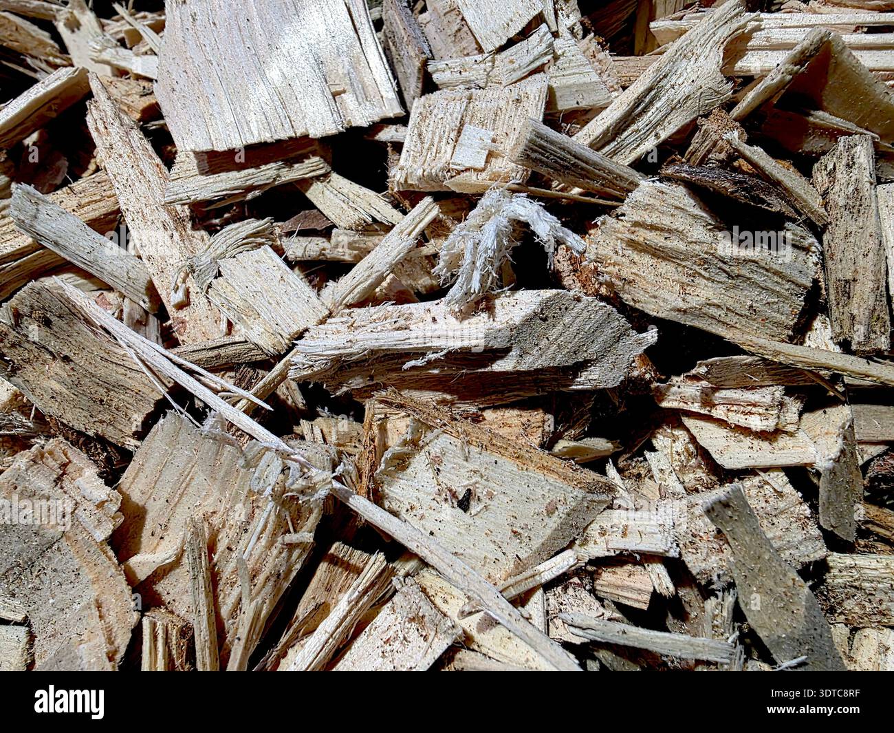 I trucioli di legno sono sparsi sul terreno in un ambiente di lavoro. I trucioli variano per dimensioni e forma, suggerendo una recente lavorazione del legno. Foto Stock