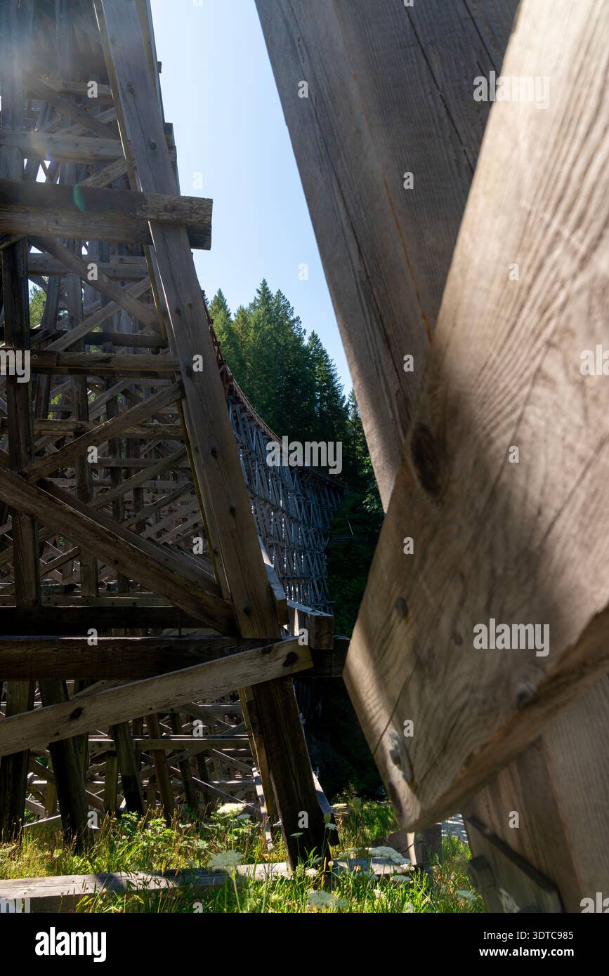 Kinsol Trestle Bridge Timbers in legno. Timbers alla base del Kinsol Trestle in legno sul fiume Koksilah vicino al lago Shawnigan, Isola di Vancouver. Foto Stock