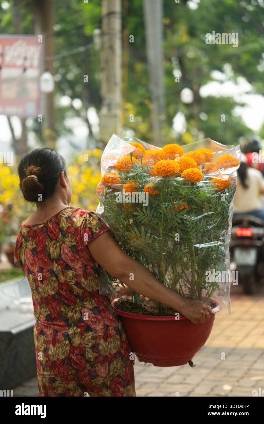Portando a casa Tet, Una donna vietnamita porta un grande vaso Hoa Van Tho, un simbolo tradizionale di fortuna durante il Capodanno lunare vietnamita Foto Stock