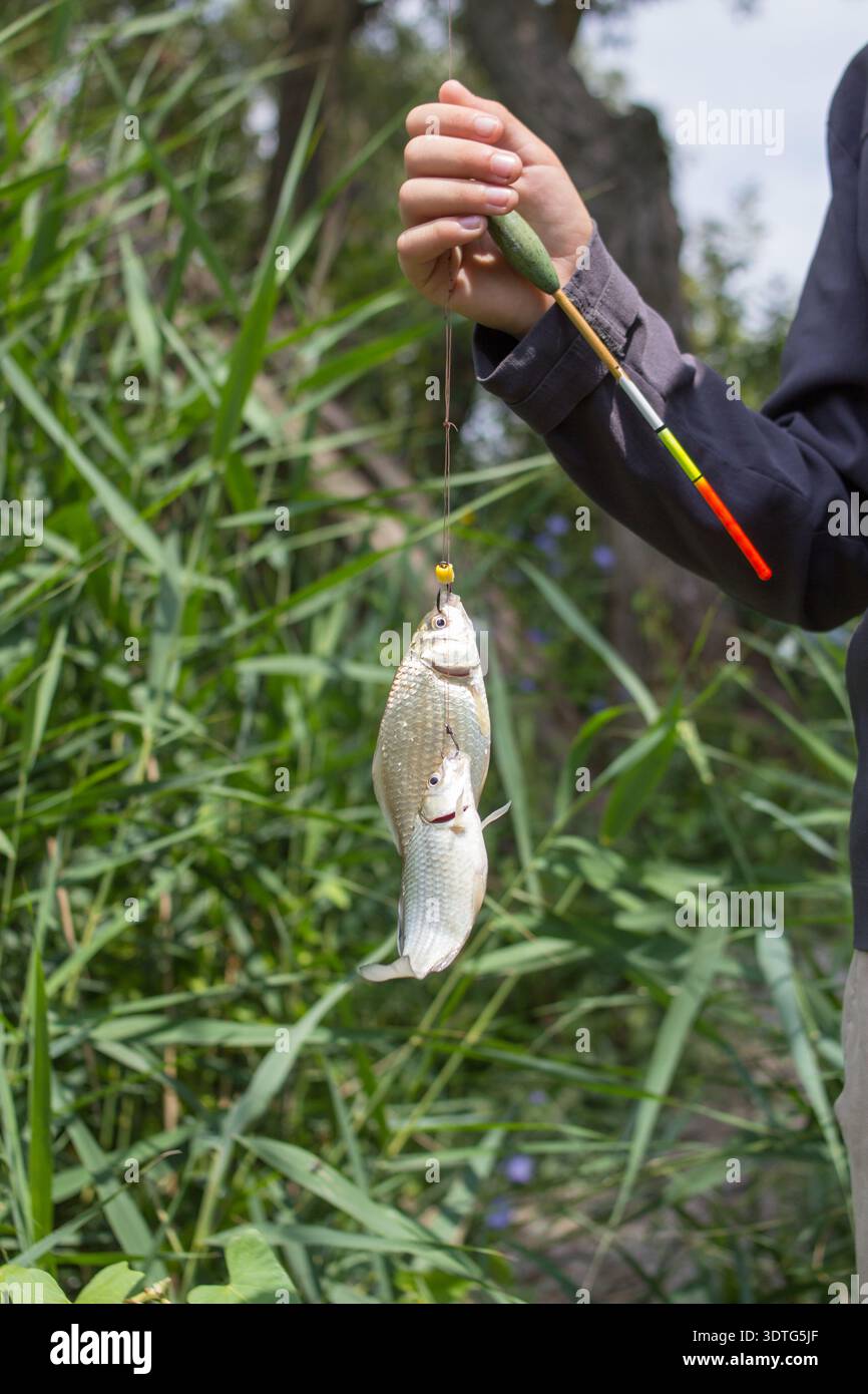 il ragazzo ha preso due pesci sulla lenza da pesca Foto Stock