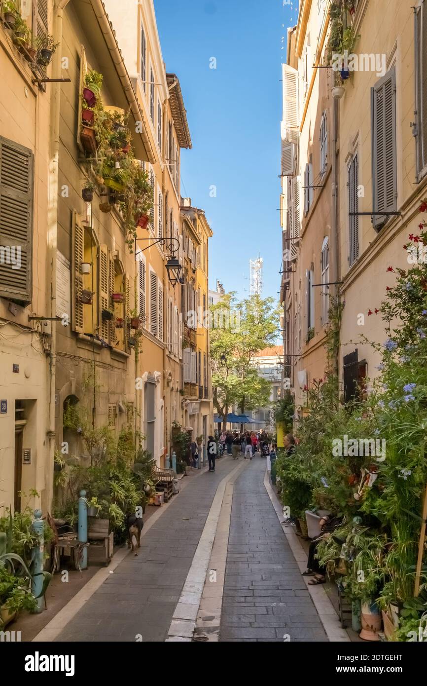 Strada stretta con piante e fiori a Marsiglia Foto Stock
