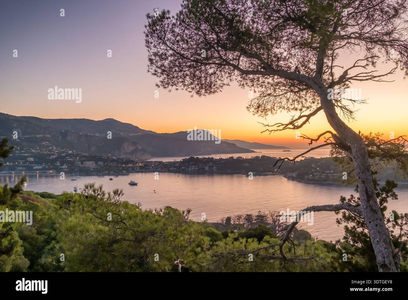 Panorama degli yacht di lusso nella baia di Saint Jean Cap Ferrat Foto Stock