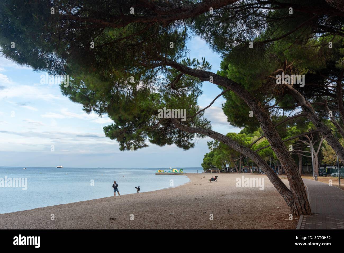 Uomo che cammina su una tranquilla e vuota spiaggia di ciottoli adriatica sotto i suggestivi pini pendenti con un mare calmo e una barca lontana all'orizzonte. Concetto di rela Foto Stock