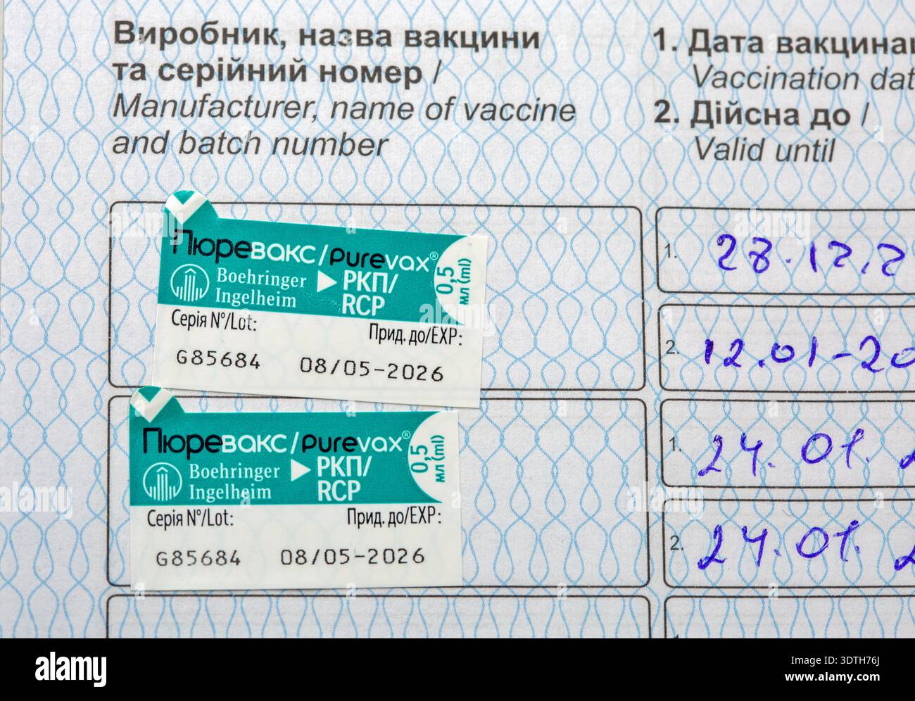 Kiev, Ucraina - 26 gennaio 2026: Primo piano del record ucraino di vaccinazione per animali domestici che mostra due adesivi di vaccino Purevax di Boehringer Ingelheim. Etichette verdi Foto Stock