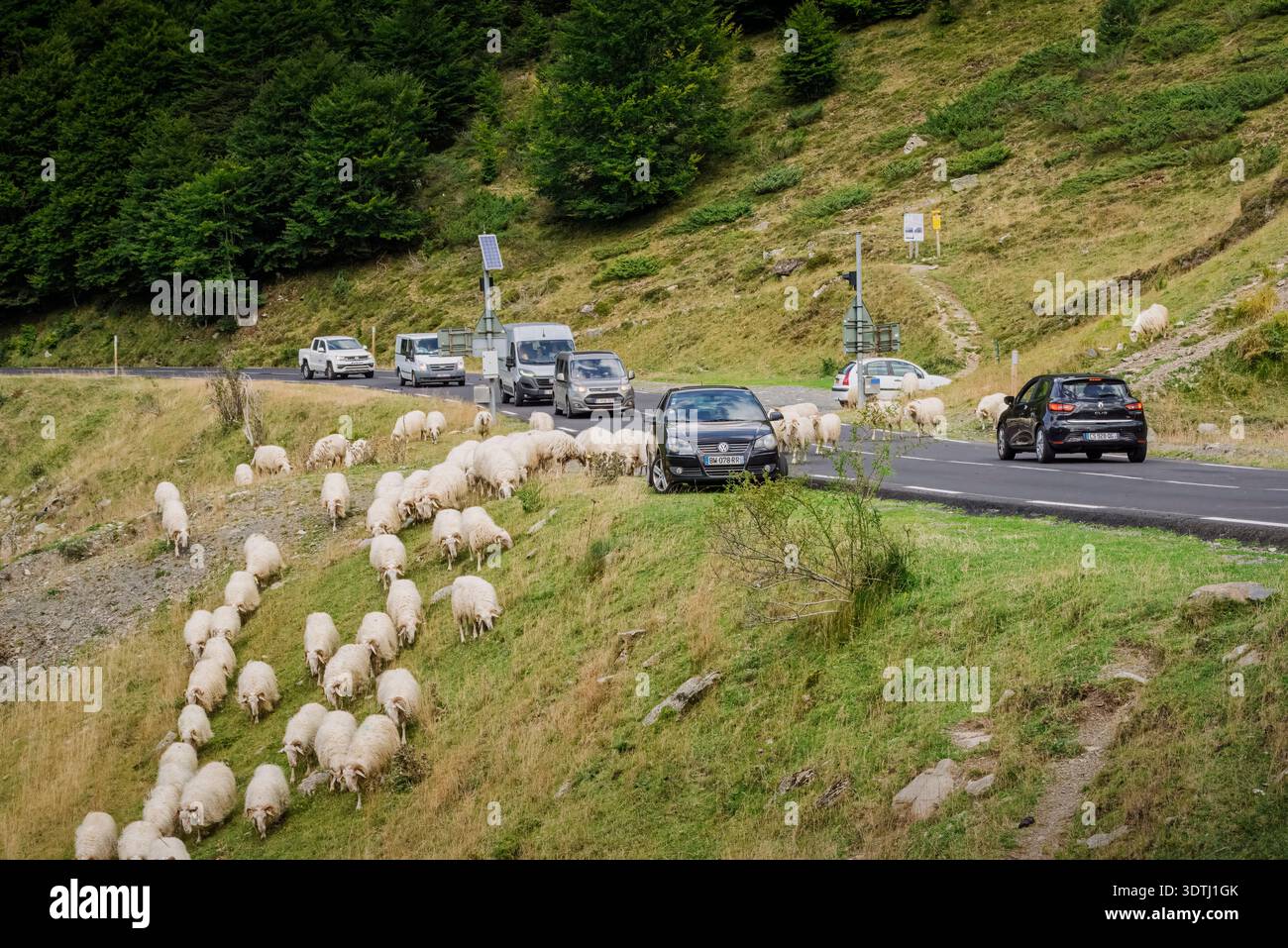Quando le montagne decidono le regole del traffico (Laruns, Francia: 29 agosto 2014) Foto Stock