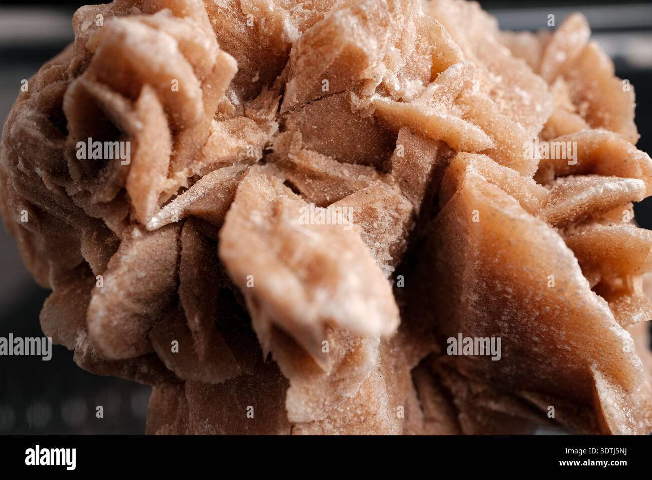 Primo piano di una formazione cristallina marrone, simile a petali, con superficie smerigliata, che assomiglia a un gesso rosa del deserto o a un ammasso minerale di barite su backgrou scuro Foto Stock