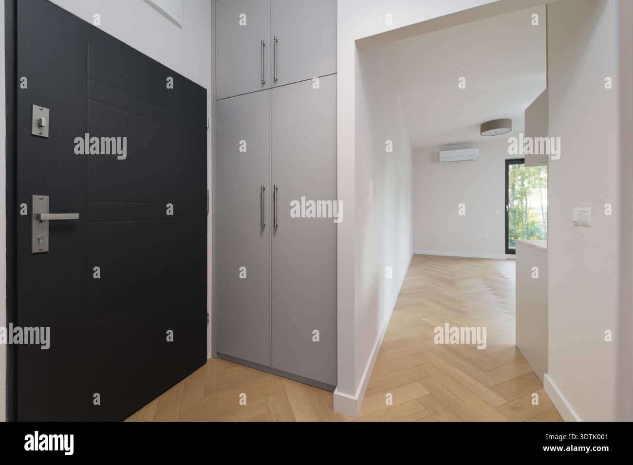 Moderno ingresso agli appartamenti con pavimento in parquet a spina di pesce. Il corridoio presenta una porta di sicurezza grigio scuro e un alto guardaroba grigio incorporato Foto Stock