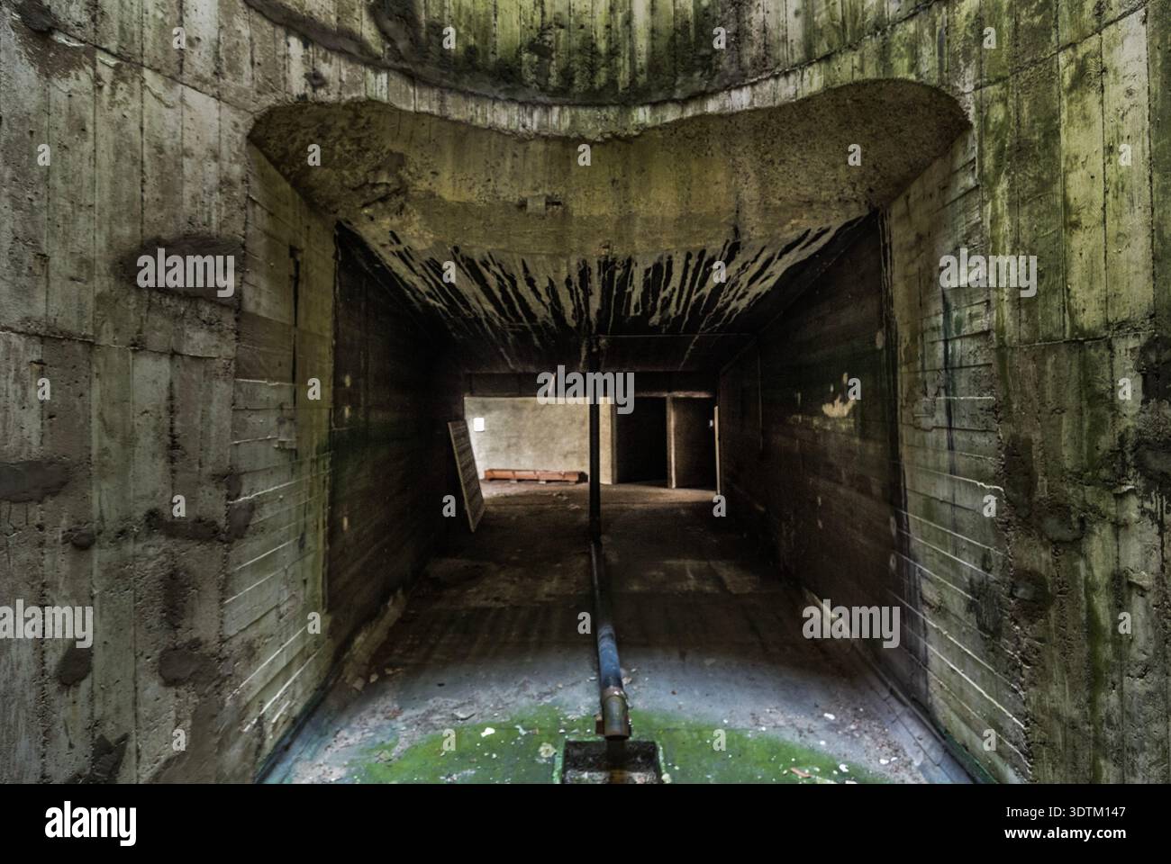 Camera in cemento coperta di muschio all'interno della torre di ventilazione nel sito di trasmissione non utilizzato VRT/RTBF-TV, Wavre, Belgio Foto Stock