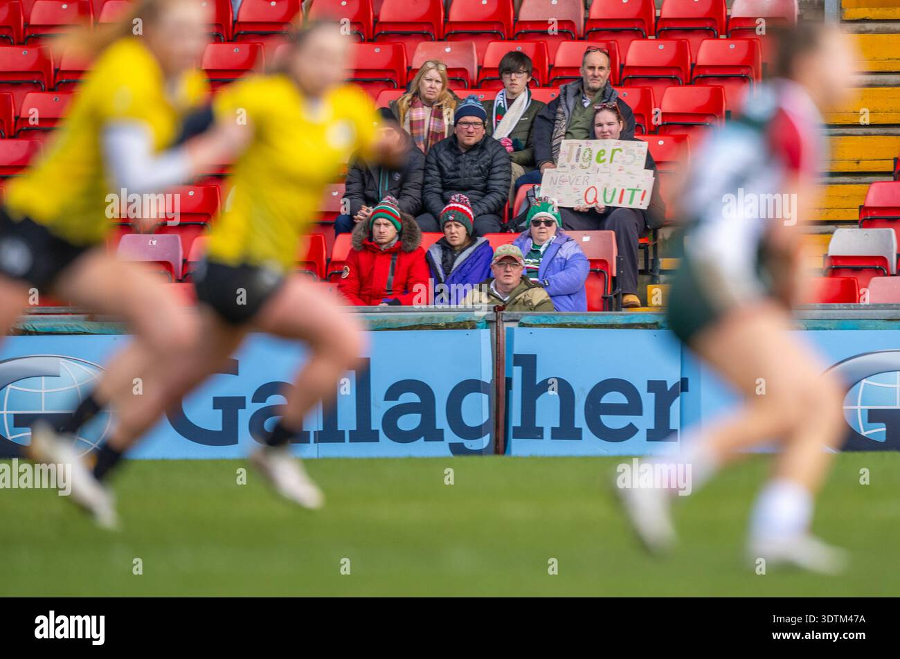 Un piccolo gruppo a tigri Leicester tigri tifosi seduti in tribuna con un cartello Tigers Never Quit a una partita in casa. Foto Stock