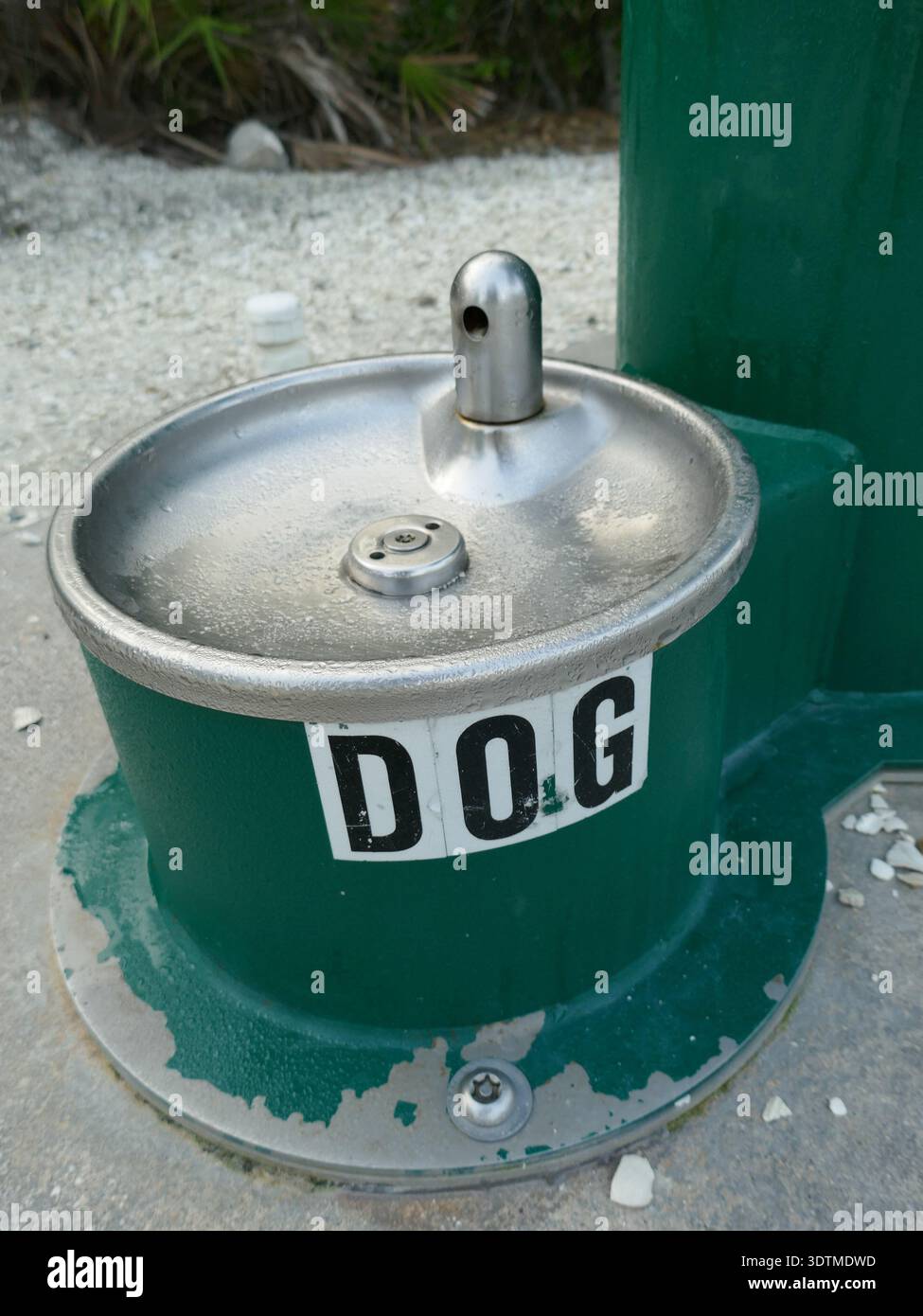 Fontana per cani nel parco pubblico all'aperto, foto verticale Foto Stock