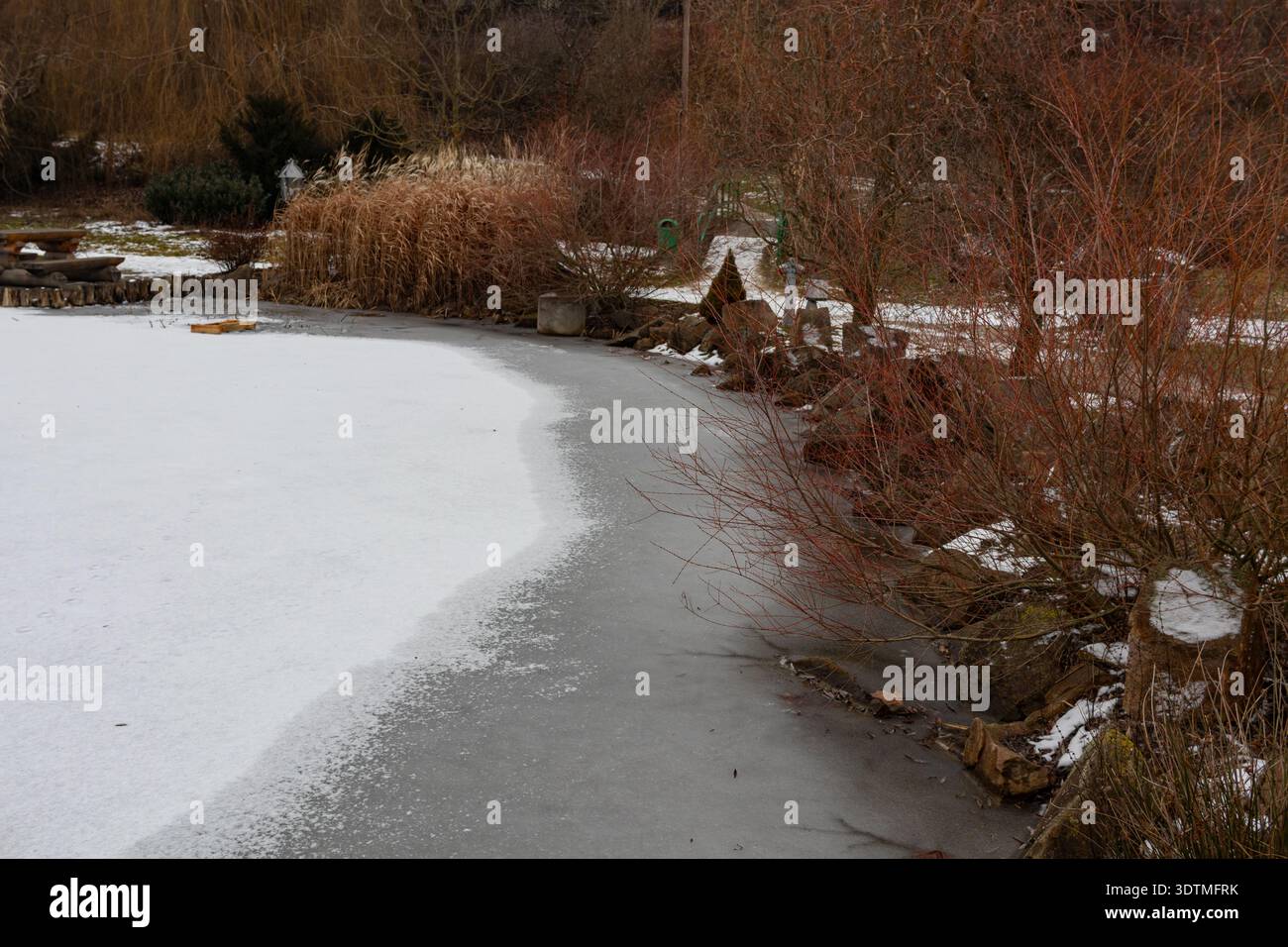 Una fotografia orizzontale cattura un tranquillo lago ghiacciato con delicate canne che penetrano attraverso la superficie ghiacciata. Foto Stock