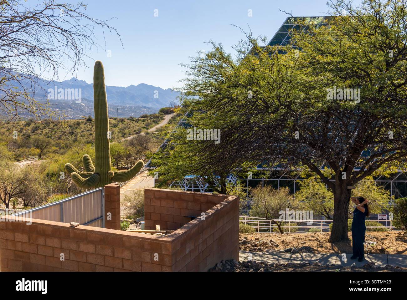 Biosphere 2 in Arizona, un'estesa struttura di ricerca scientifica creata per studiare l'interazione tra i sistemi vitali della Terra in un ambiente chiuso. Foto Stock