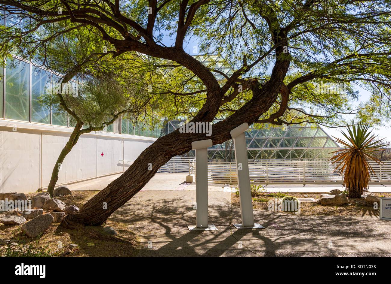 Biosphere 2 in Arizona, un'estesa struttura di ricerca scientifica creata per studiare l'interazione tra i sistemi vitali della Terra in un ambiente chiuso. Foto Stock