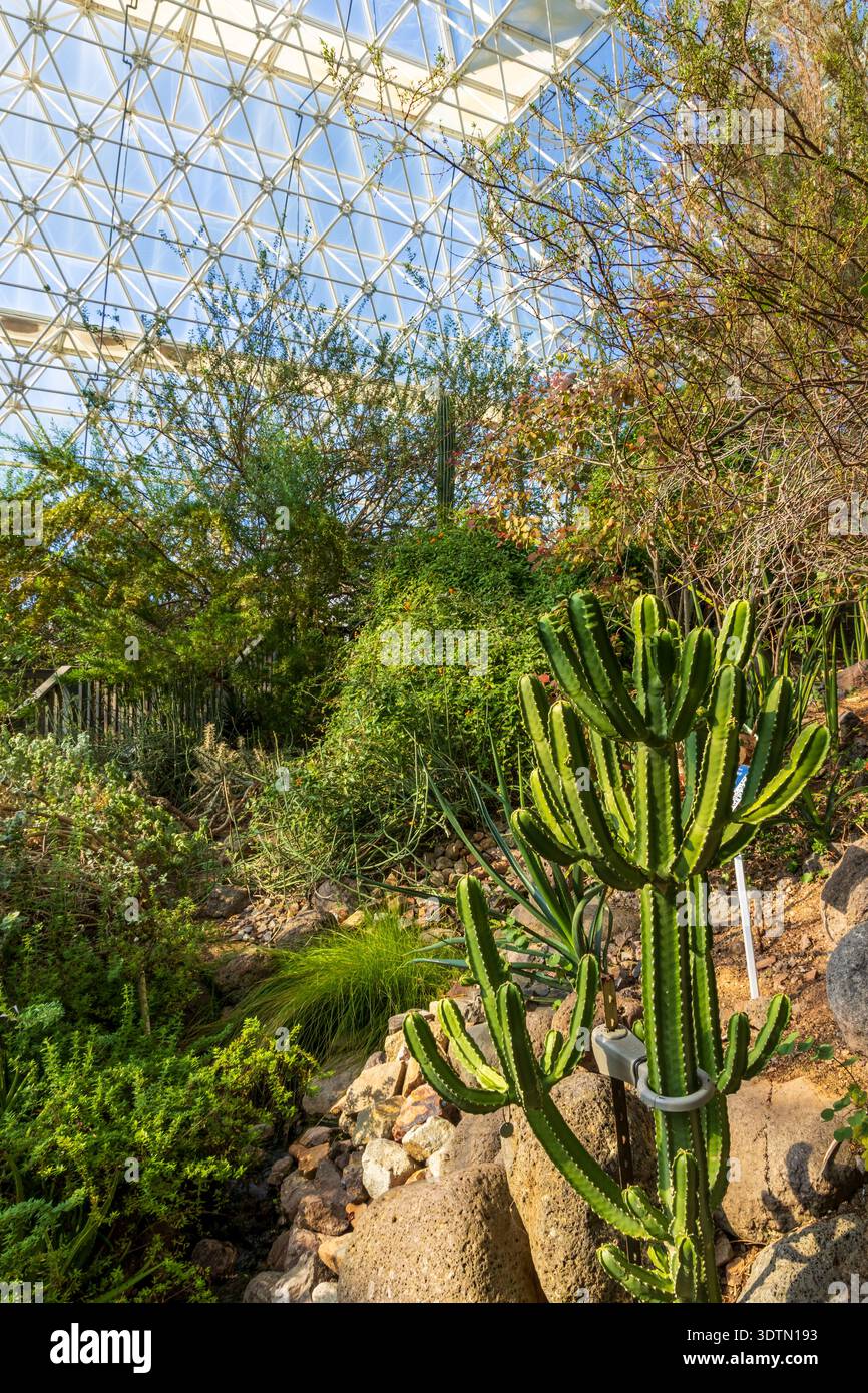 Biosphere 2 in Arizona, un'estesa struttura di ricerca scientifica creata per studiare l'interazione tra i sistemi vitali della Terra in un ambiente chiuso. Foto Stock