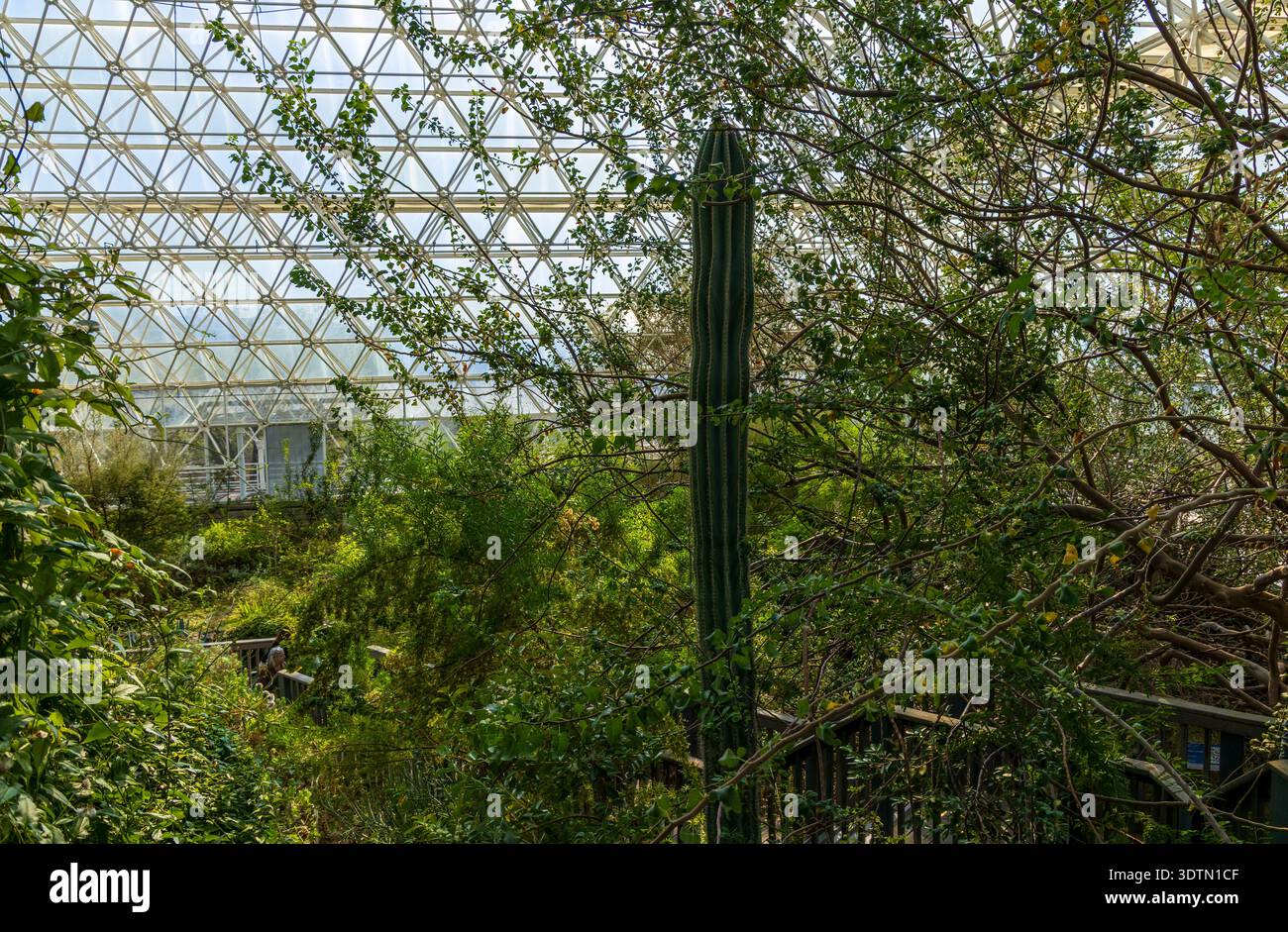 Biosphere 2 in Arizona, un'estesa struttura di ricerca scientifica creata per studiare l'interazione tra i sistemi vitali della Terra in un ambiente chiuso. Foto Stock