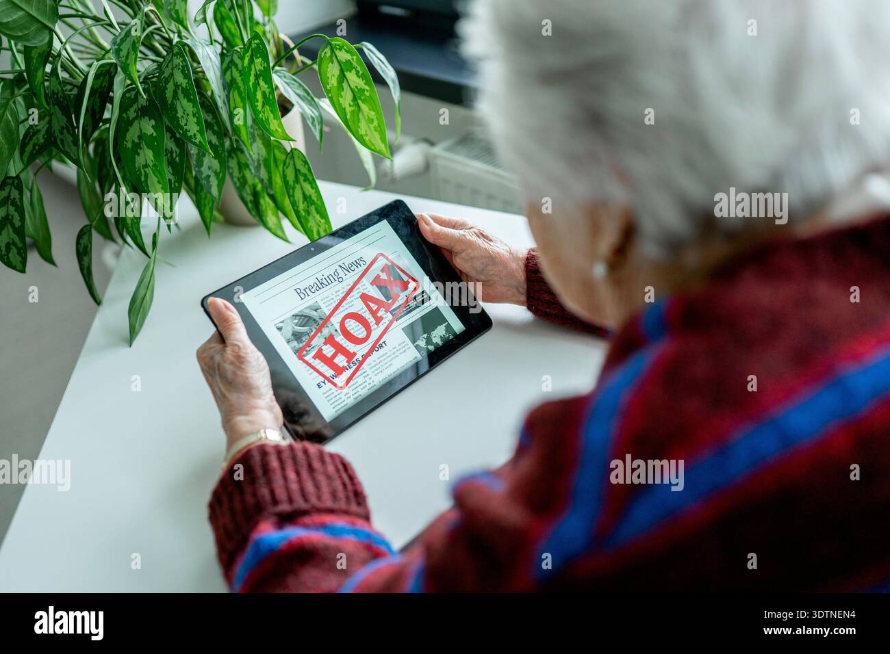 Vecchi che riconoscono notizie false su un tablet digitale. Foto Stock