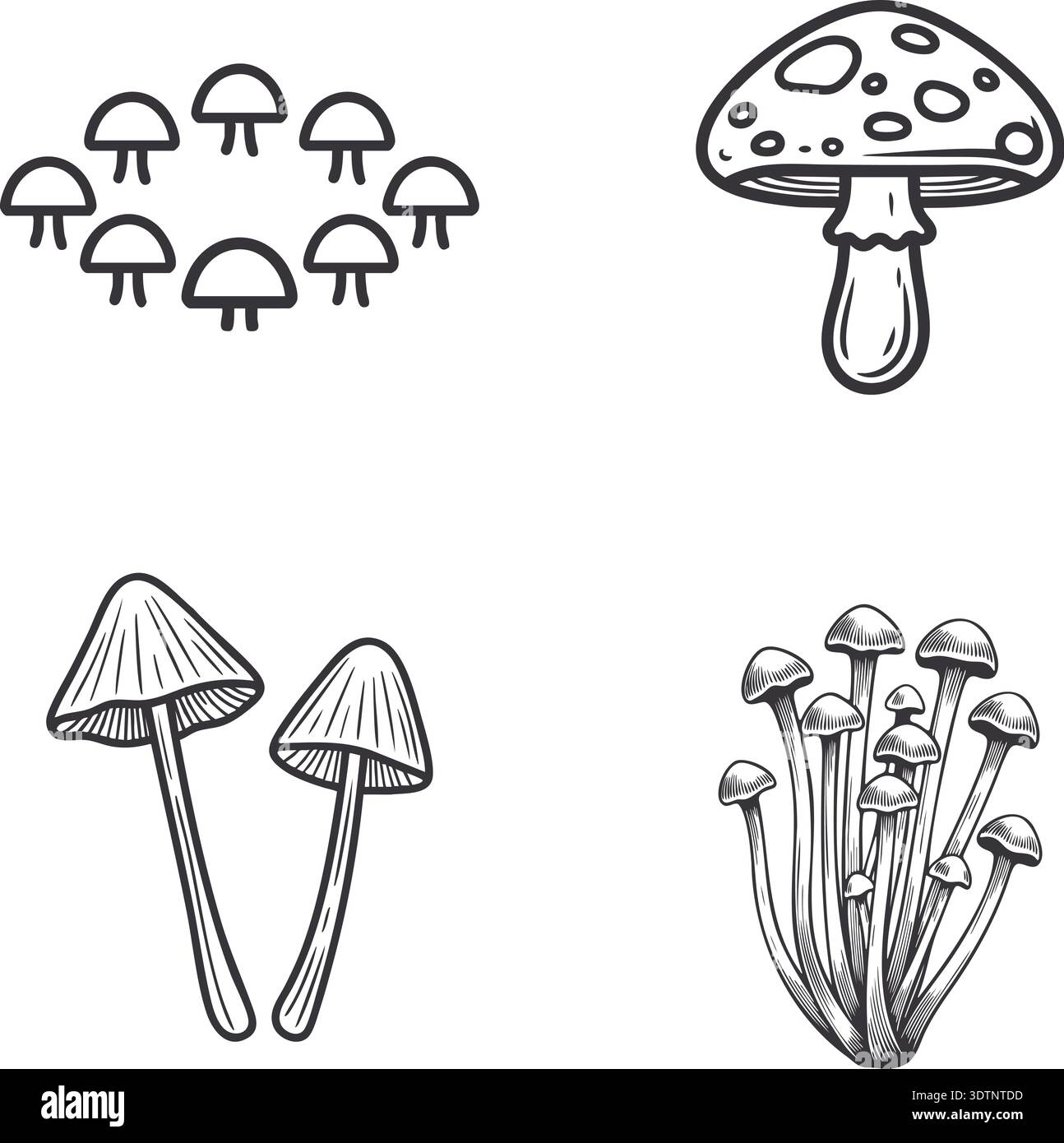 Un set illustrativo in bianco e nero con varie specie di funghi in diverse forme e formazioni a grappolo, in stile con un'illustrazione dettagliata Illustrazione Vettoriale