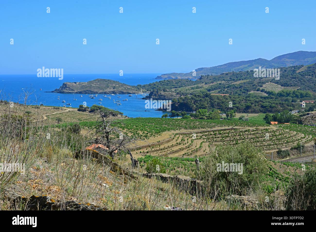 Les Paulliles, una baia nel sud della Francia vicino a Banyuls. Un luogo popolare per i proprietari di barche per riunirsi e festeggiare Foto Stock