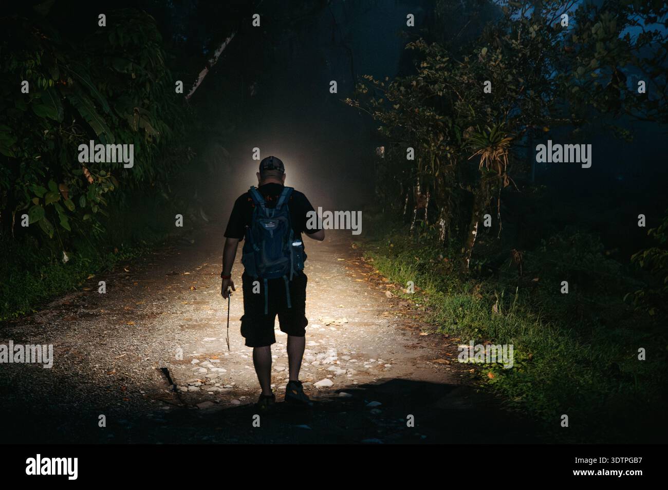 Guida turistica notturna a piedi con faro sulla Rainforest Road, El Silencio Foto Stock