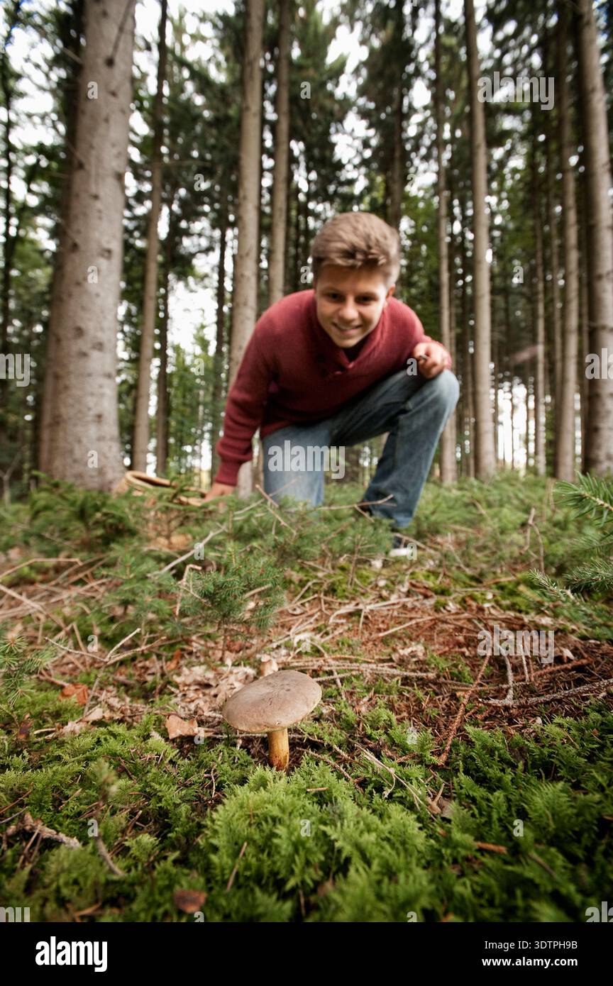 Giovane che accovacciato per raccogliere funghi selvatici nella pineta Foto Stock