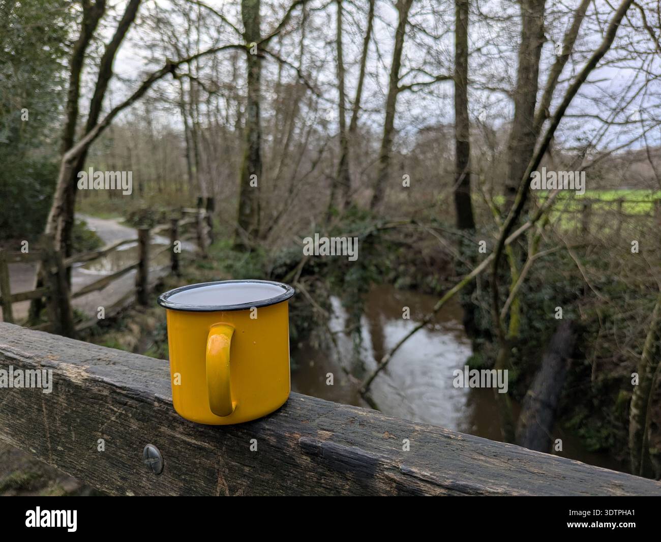 Poohsticks Bridge nella foresta di Ashdown (conosciuta anche come il vero bosco di cento acri da Winnie-the-Pooh) - Immagine stock catturata con smartphone