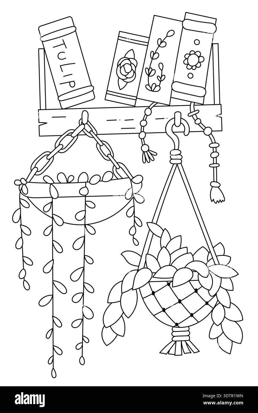 Scaffale con libri e piante e pagina da colorare per adulti e bambini Illustrazione Vettoriale