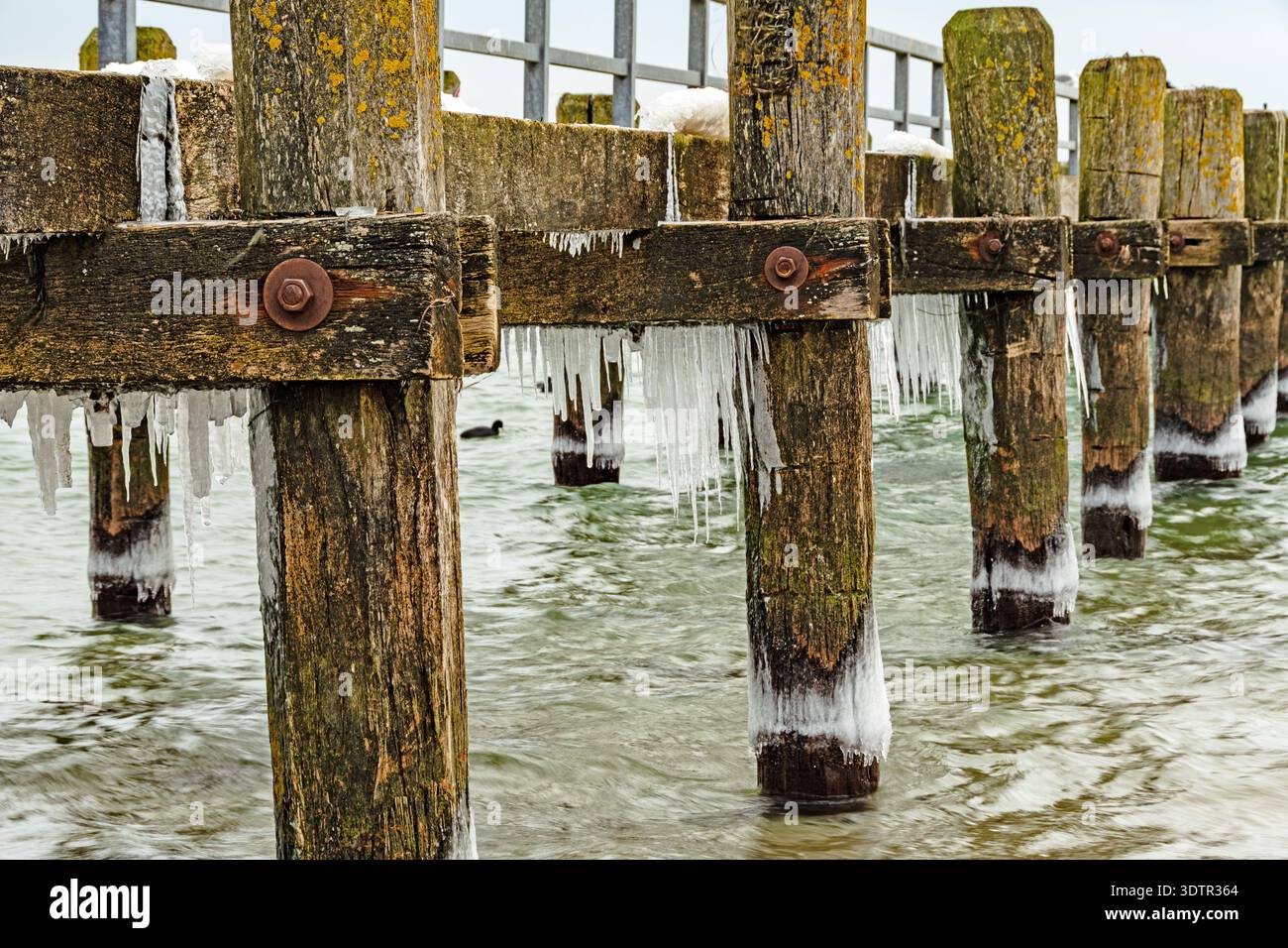 Ghiaccioli appesi ai pontili di legno sopra le fredde acque del Mar Baltico, che mostrano la consistenza costiera invernale e i dettagli congelati. Foto Stock