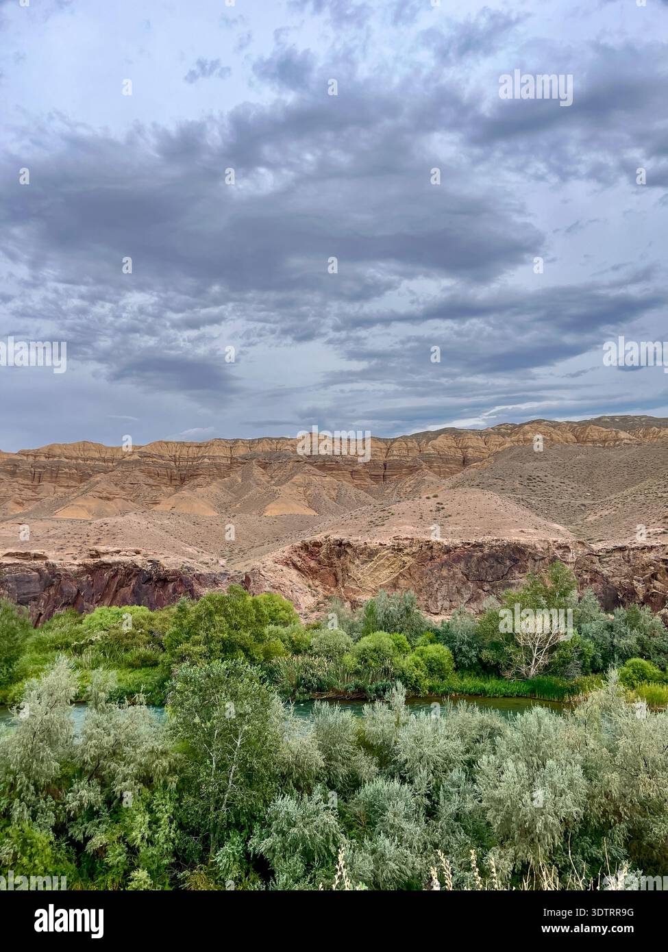 Paesaggio mozzafiato caratterizzato da vegetazione lussureggiante e il suggestivo cielo sulle colline e sulle montagne del deserto in un ambiente naturale sereno Foto Stock
