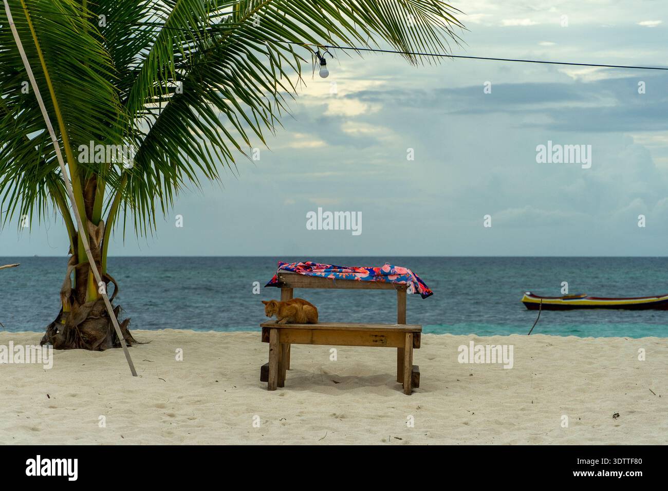 Splendida spiaggia sull'isola di Patawan a Balabac, nelle Filippine. Foto Stock