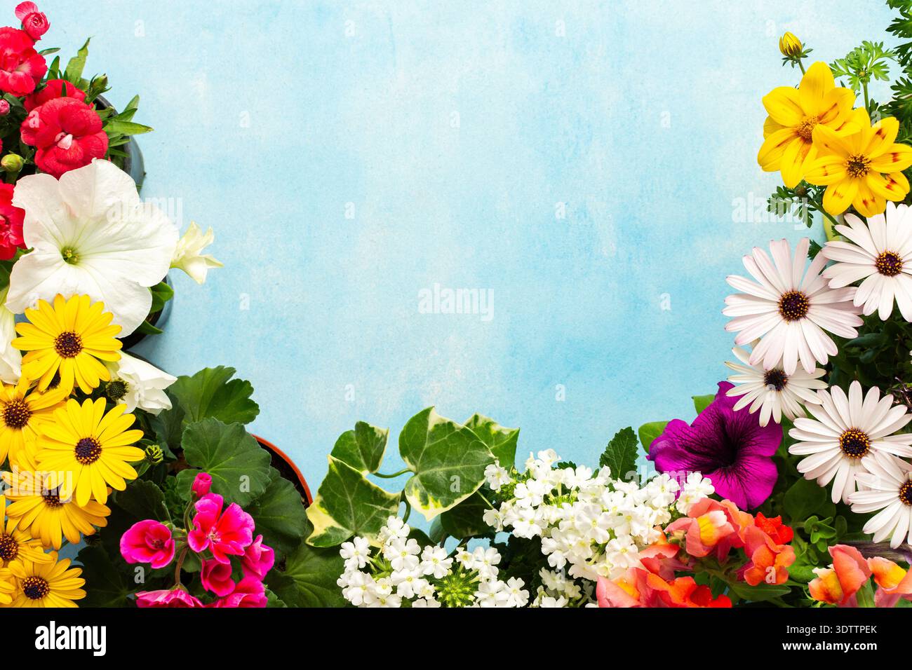 I colorati fiori primaverili adornano un balcone di casa, creando un'atmosfera vivace. I fiori includono margherite, begonie e petunie, che celebrano la beata Foto Stock