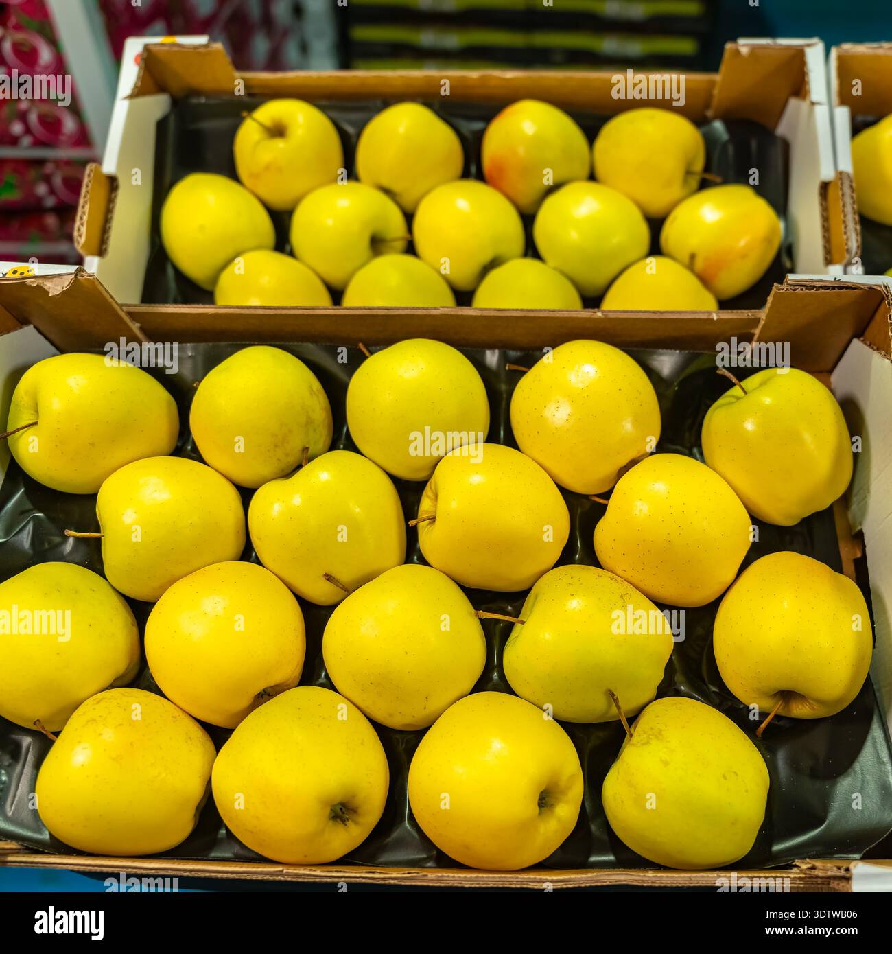 succose mele gialle poste in scatole di cartone pronte per la vendita al pubblico. Foto Stock