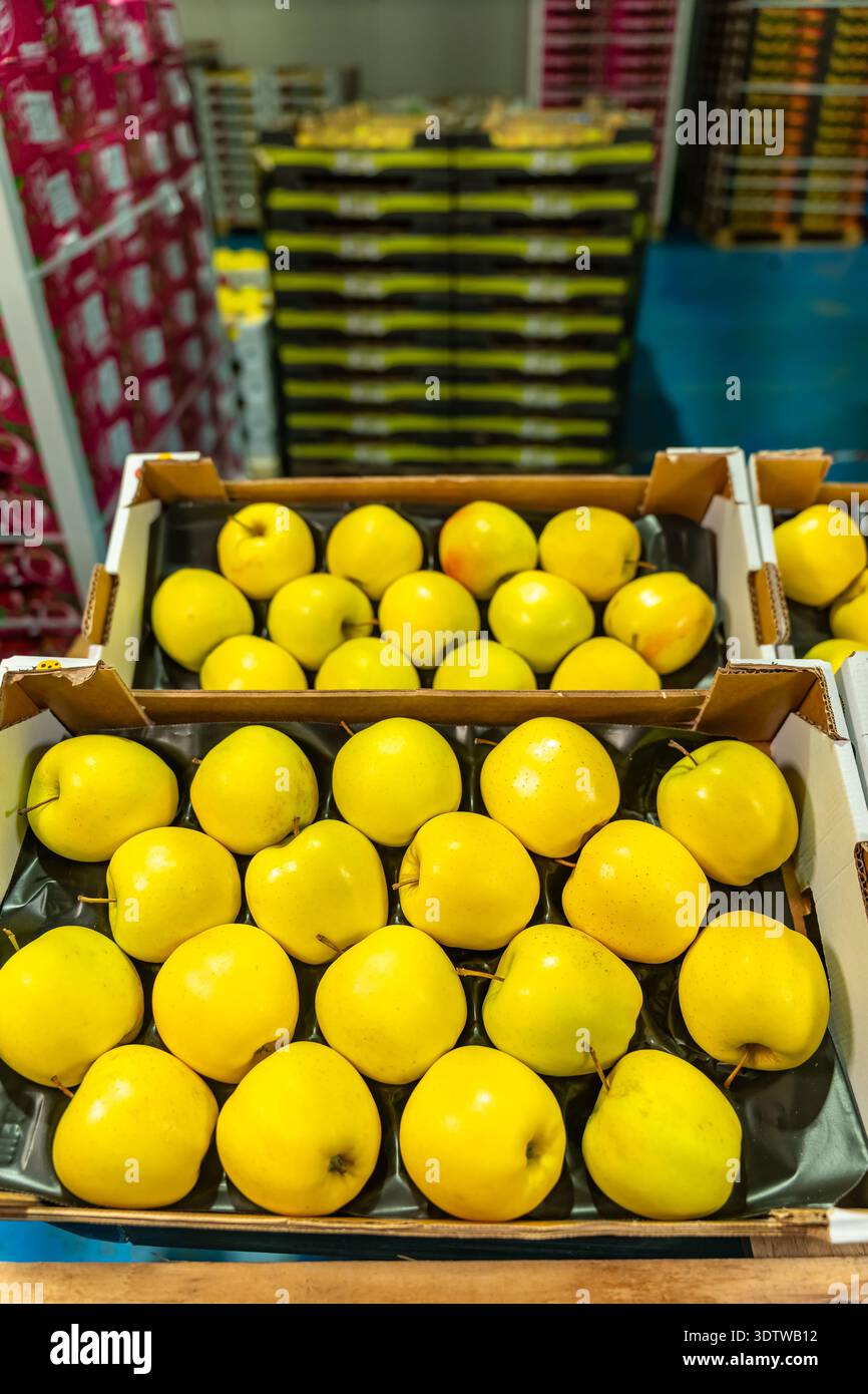 Scatole di mele gialle impilate in un deposito di frutta con pallet di molte scatole di merci. Foto Stock