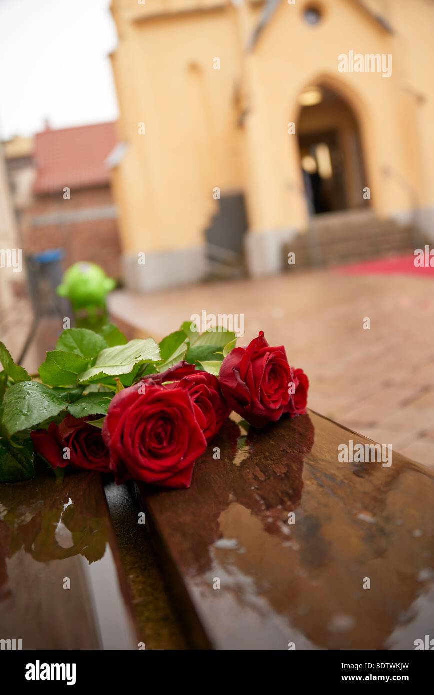 Uno scatto ravvicinato dall'angolazione bassa presenta un gruppo di rose rosse vivaci, i loro petali e le foglie verdi adornate di gocce d'pioggia, appoggiate su un dar lucido e bagnato Foto Stock